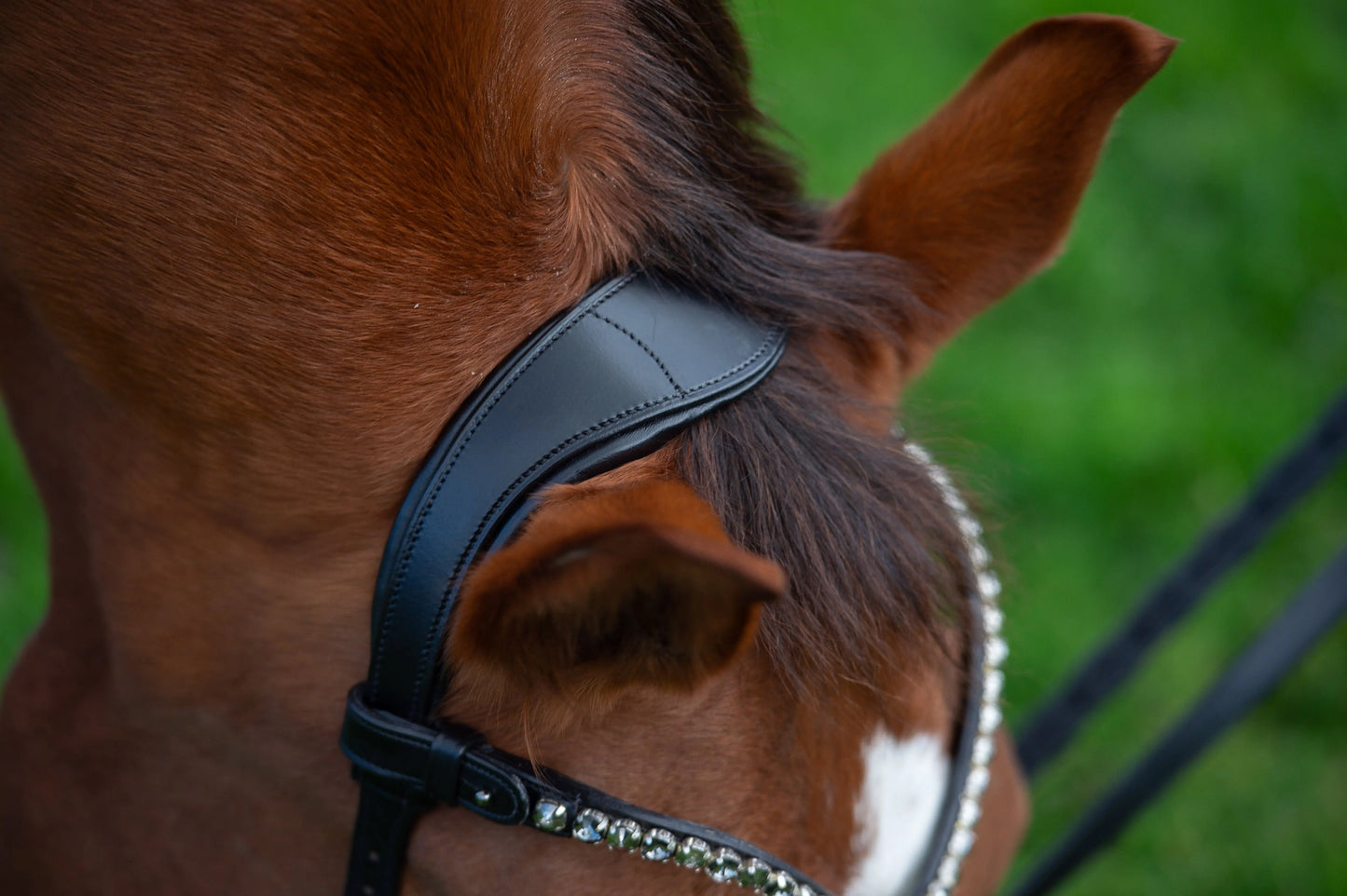 Midnight Supreme - CR-Harmonyequestrian Geflochtene Trense 240.00