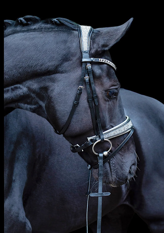 Trense Diamond Dust Vollblut CR-Harmonyequestrian