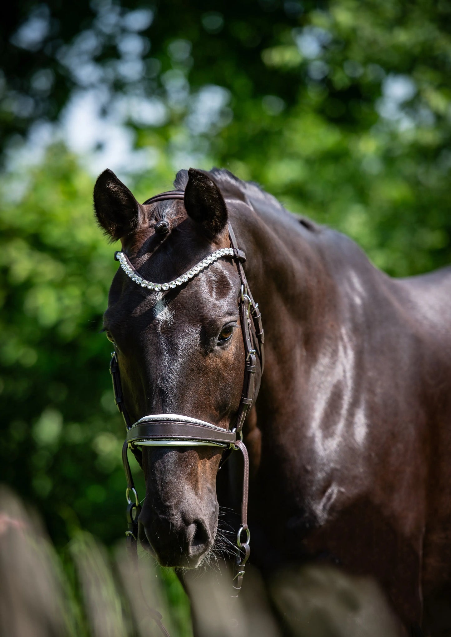 Harmony Bridle - anatomische gebisslose Trense mit Crystal Stirnband ( gebisslose Zäumung Sidepull oder Crossbridle CR-Harmonyequestrian
