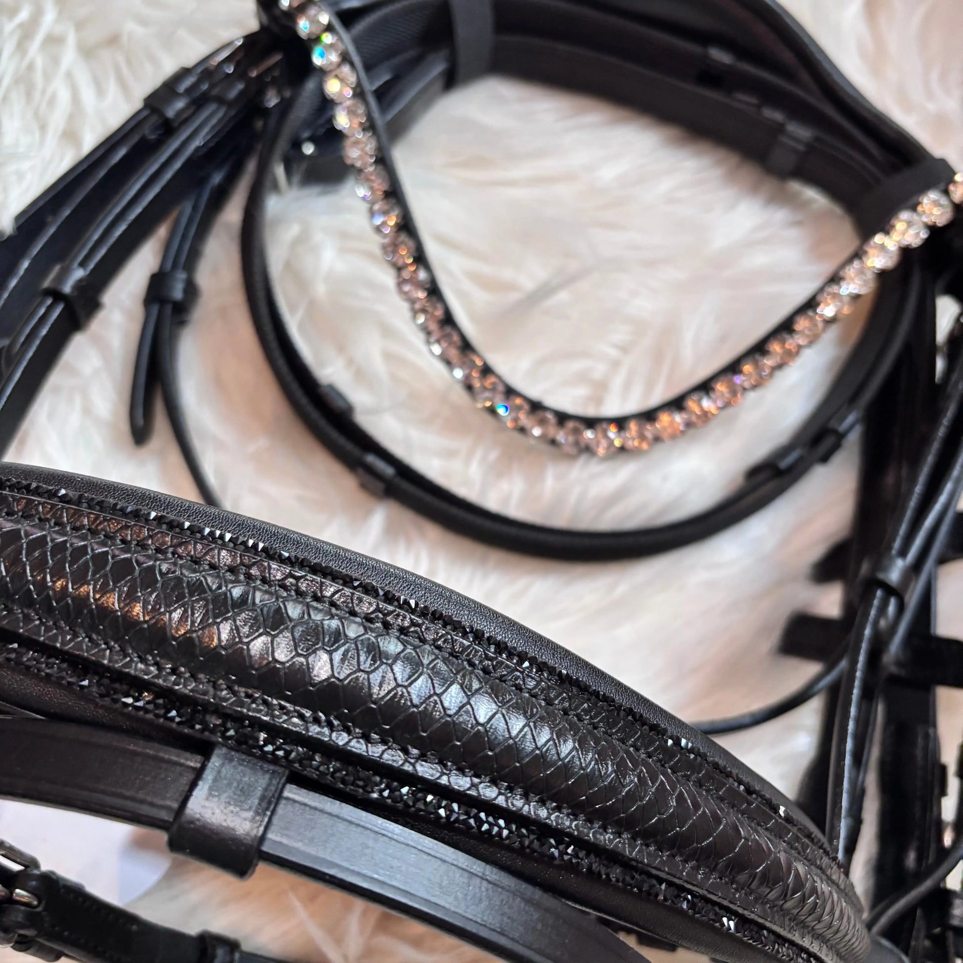 Lizard Black Ponytrense CR-Harmonyequestrian