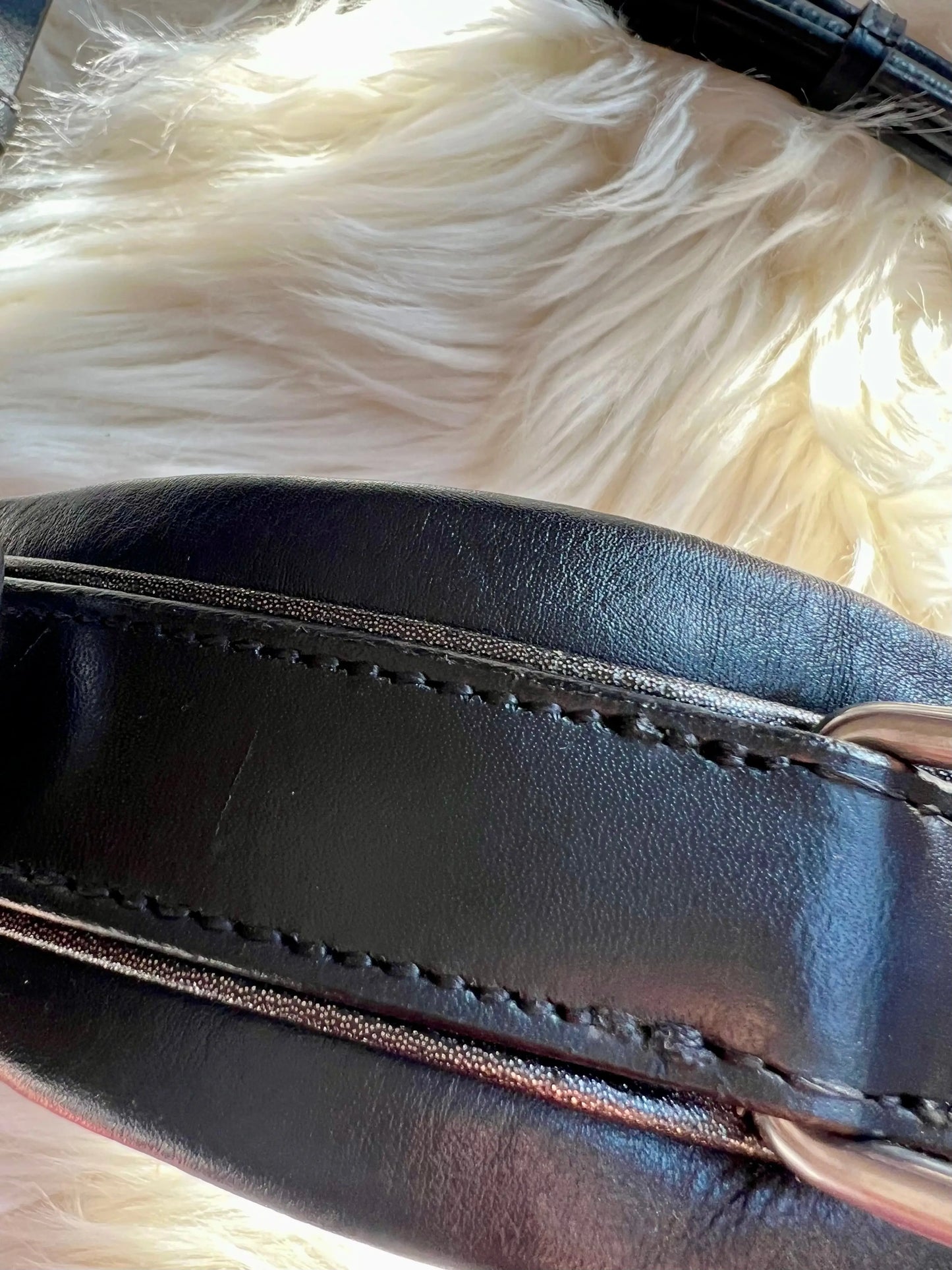 Multizaum Vollblut - CR-Harmonyequestrian