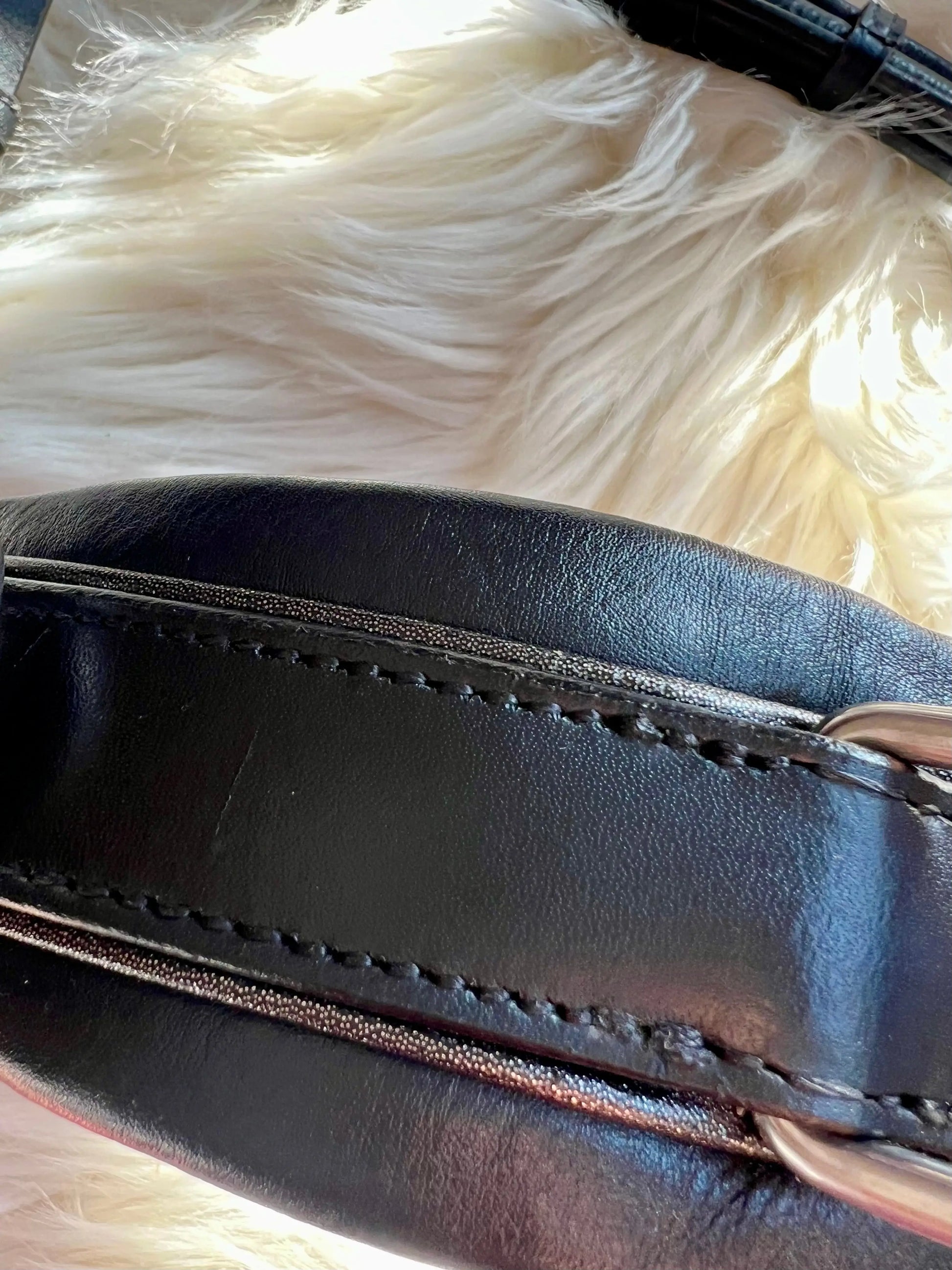 Multizaum Vollblut - CR-Harmonyequestrian