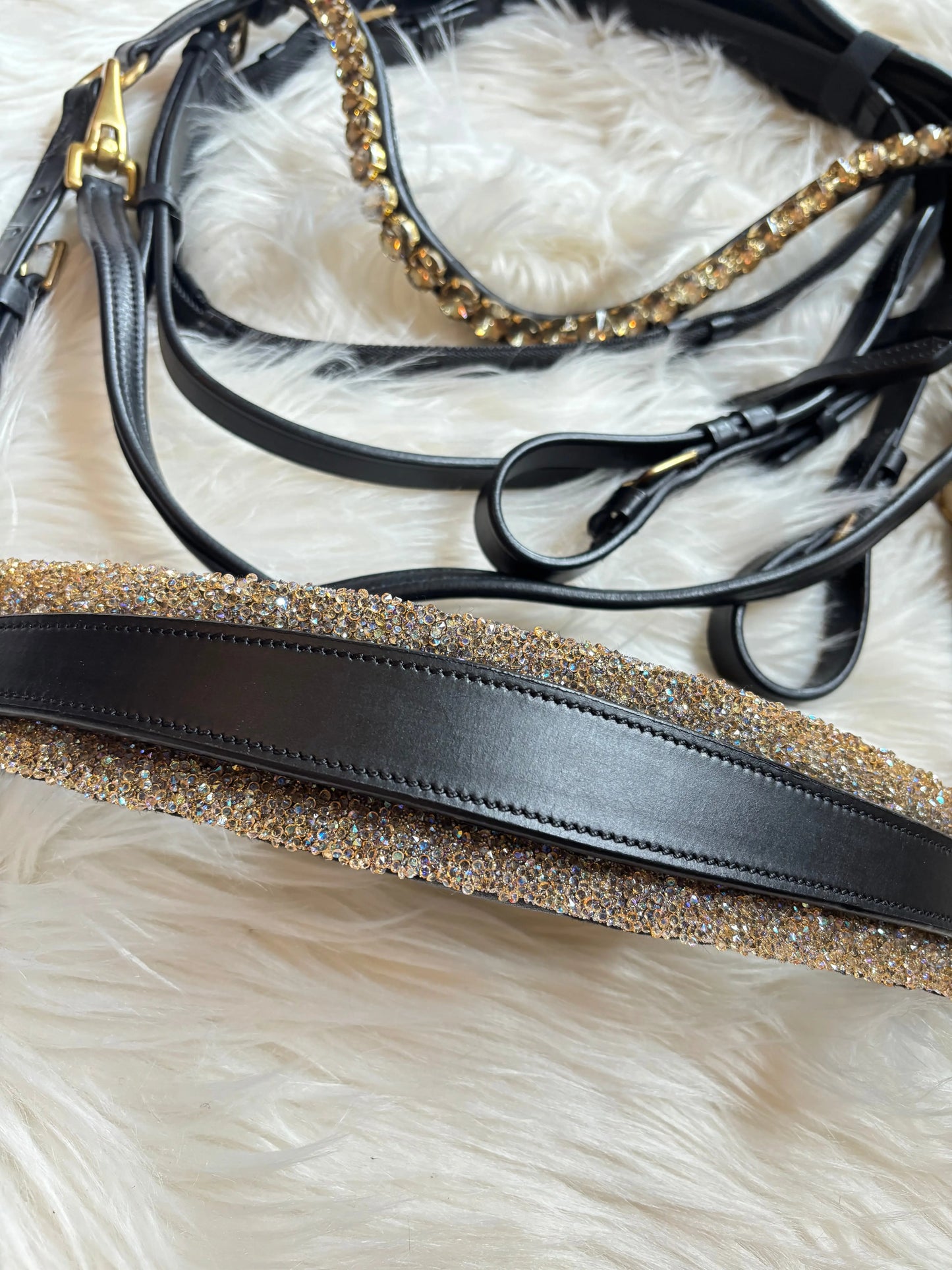 Gebisslose Trense Solaris CR-Harmonyequestrian