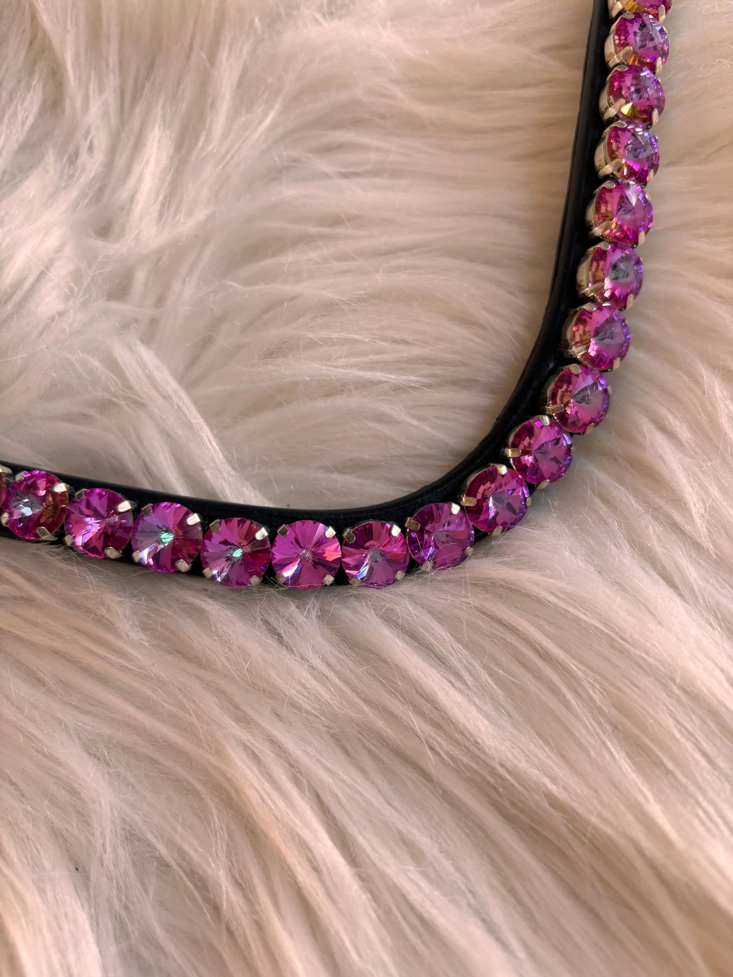 Stirnriemen Rivolis Heliotrope CR-Harmonyequestrian