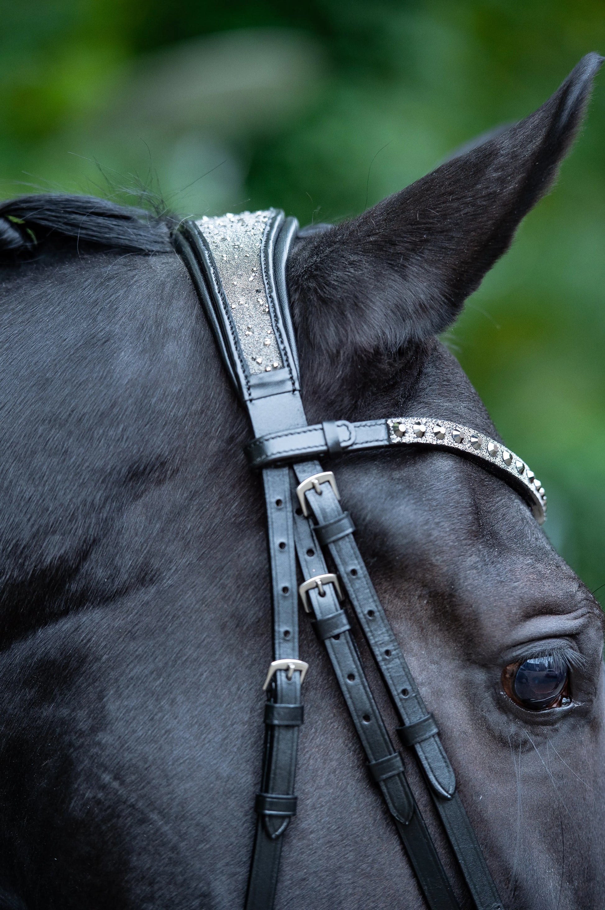 Trense Diamond Dust Vollblut CR-Harmonyequestrian