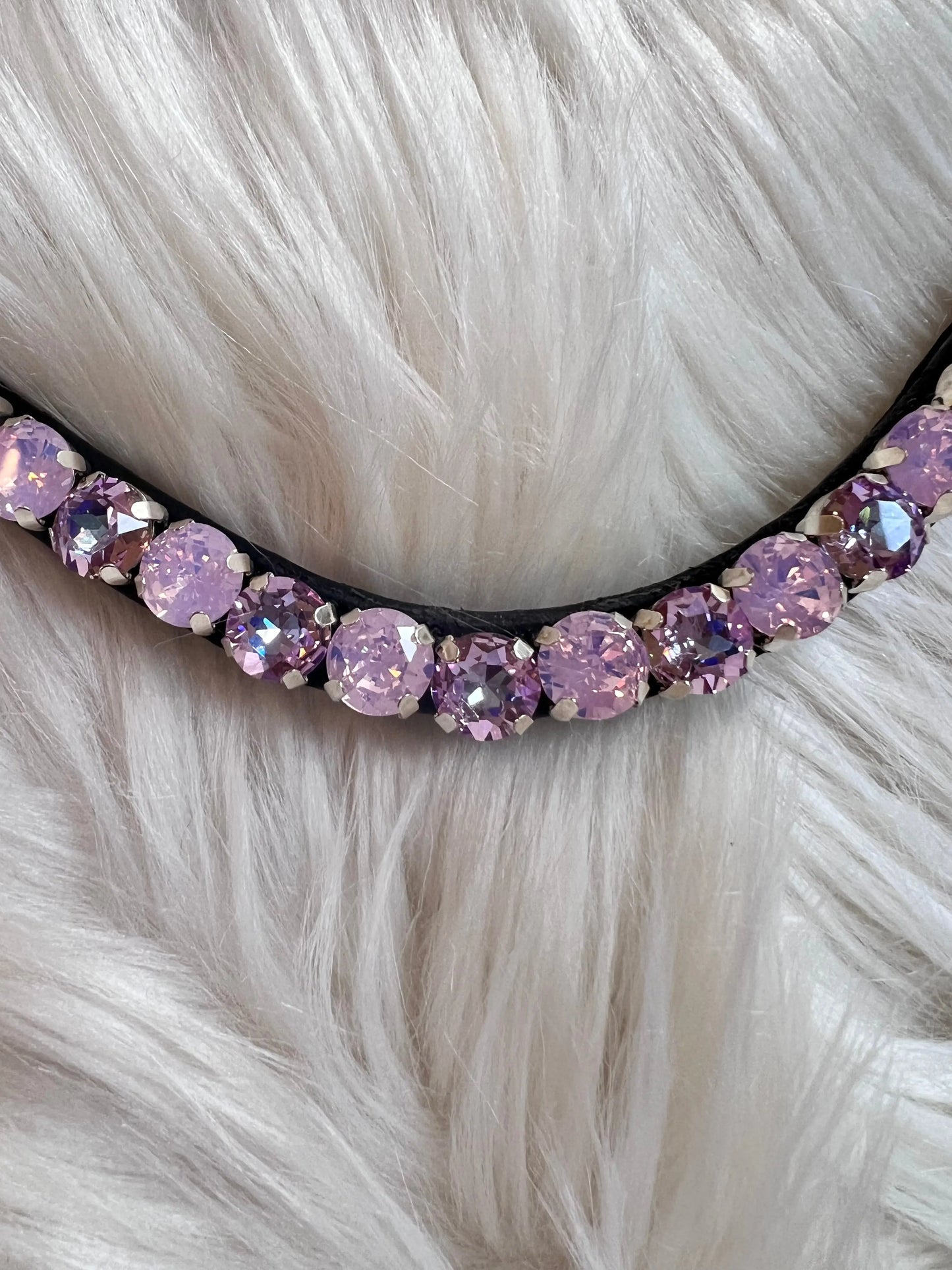 Stirnriemen Vio CR-Harmonyequestrian