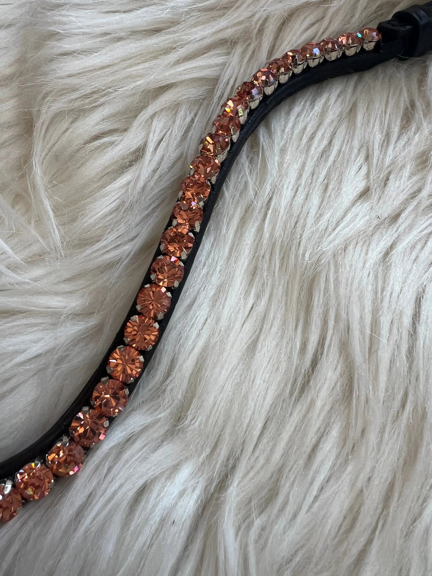 Stirnriemen Slim Apricot CR-Harmonyequestrian