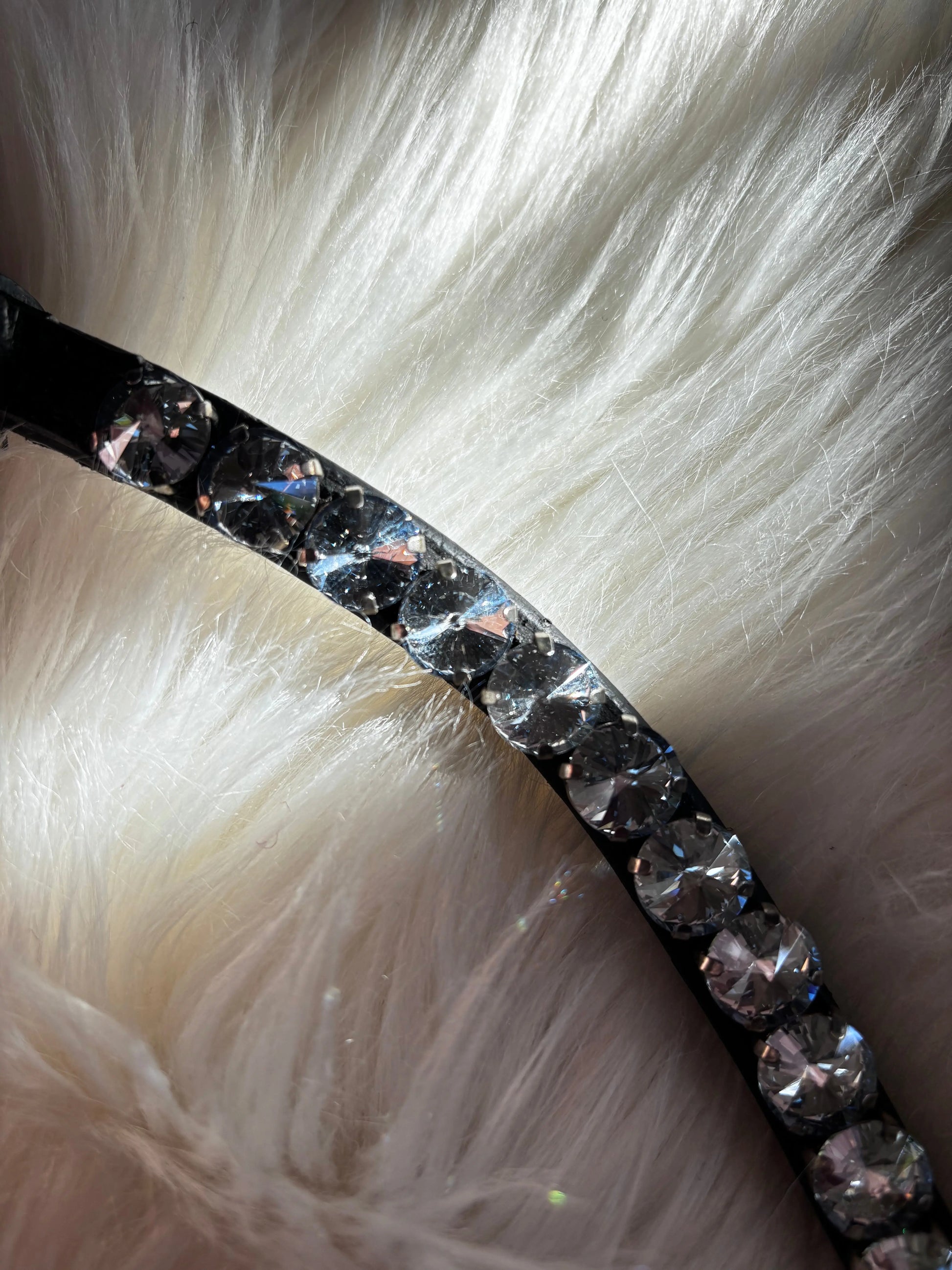 Stirnriemen Big Universe - CR-Harmonyequestrian