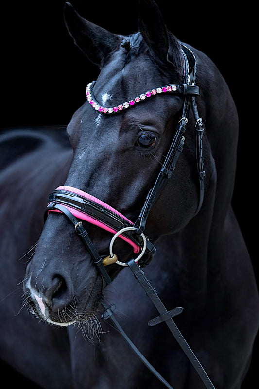 Trense Candy Pink CR-Harmonyequestrian