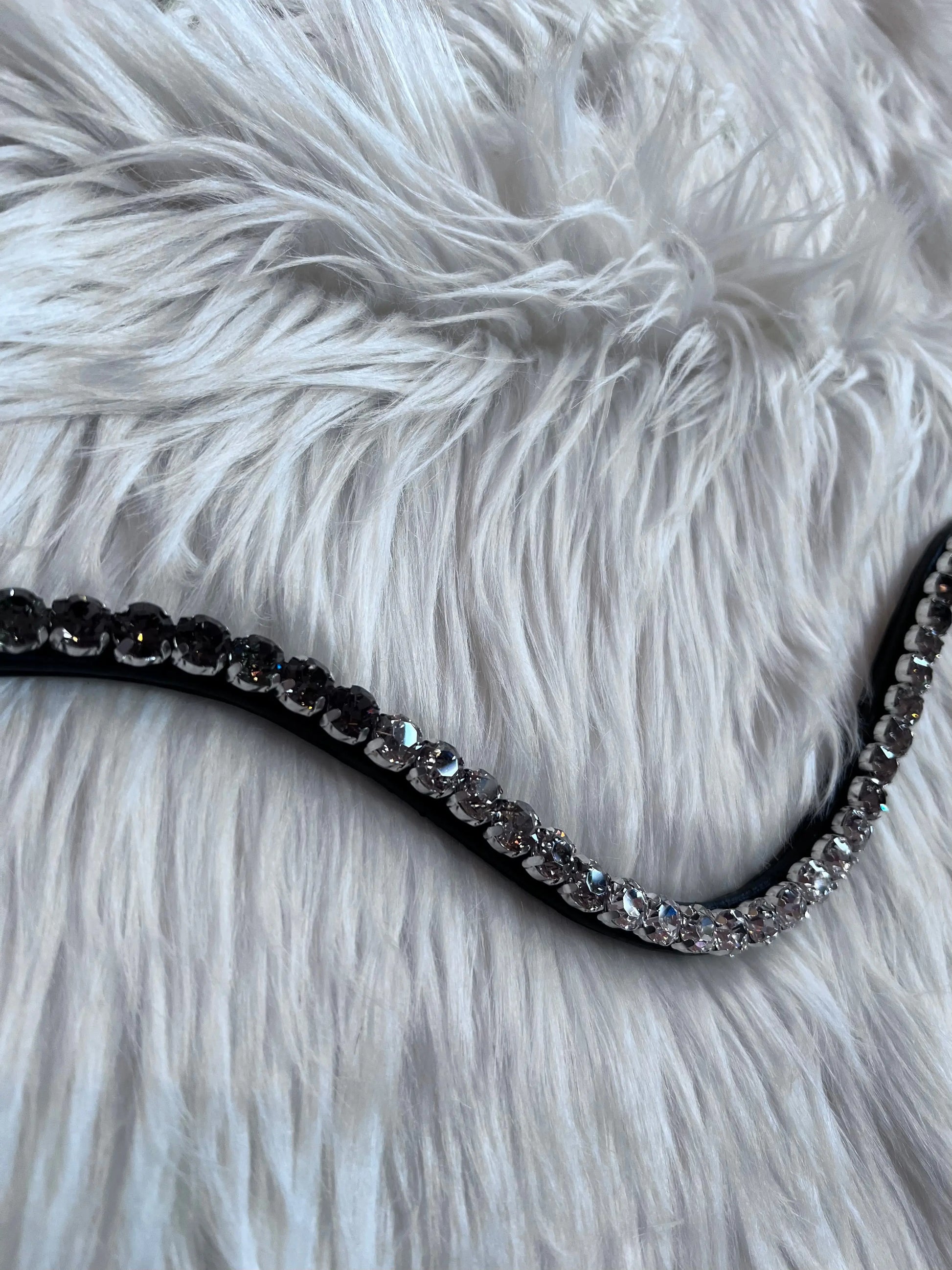 Stirnriemen Dark Light CR-Harmonyequestrian