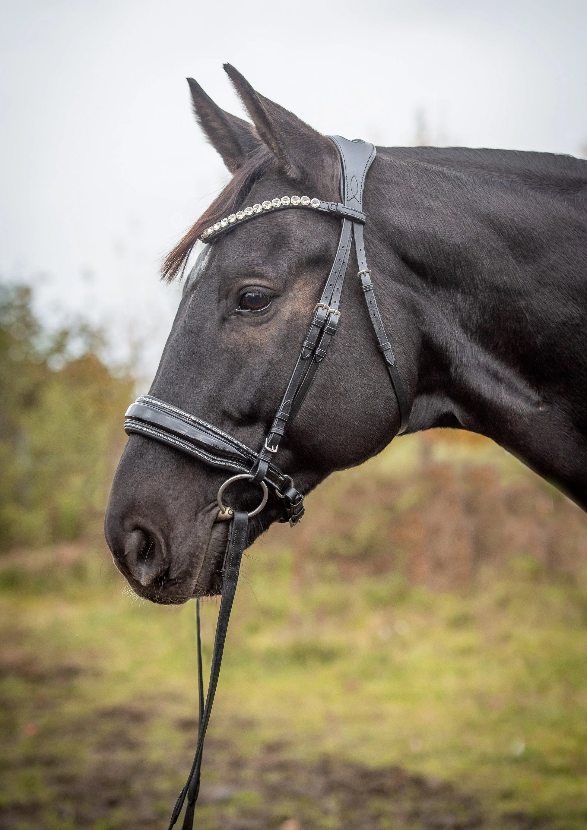 Glamourös Lack Trense schwarz mit Silber Crystal Rocks CR-Harmonyequestrian