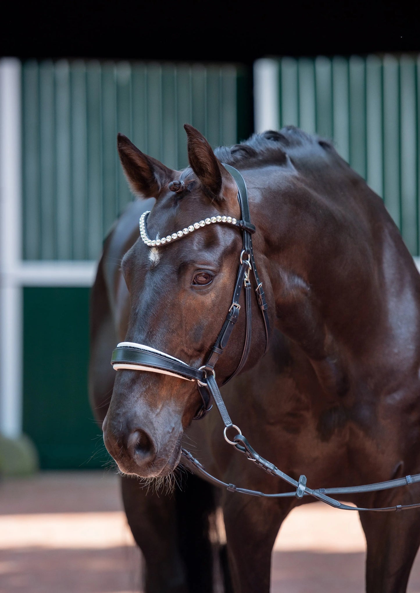 Glitterpad für gebisslose Trense mit Crystal Rocks CR-Harmonyequestrian