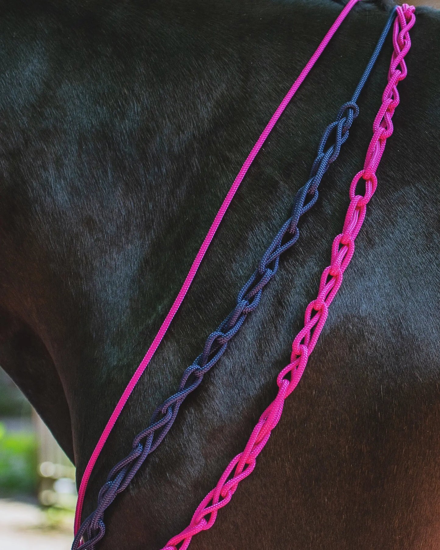 Balancezügel CR CR-Harmonyequestrian