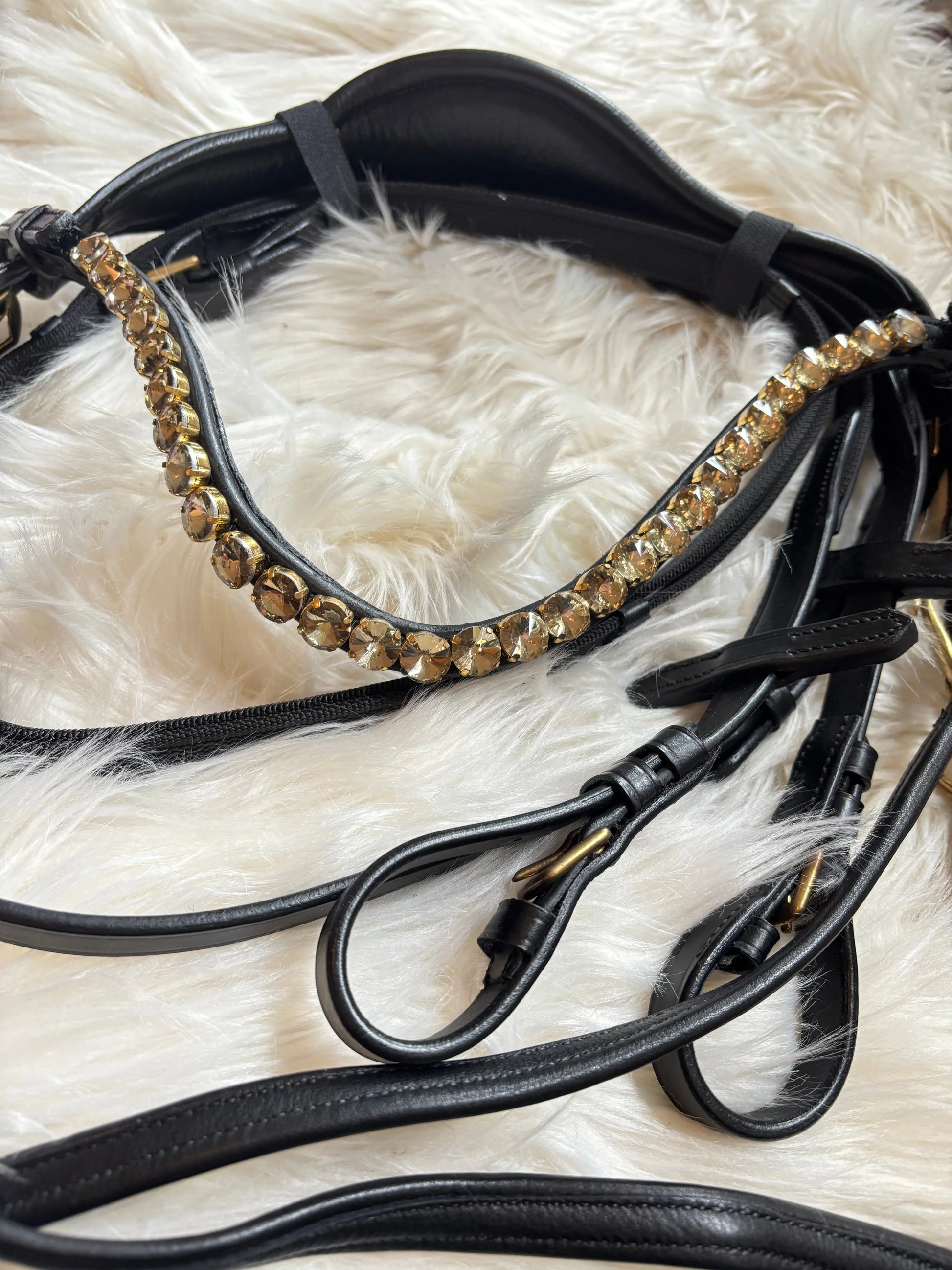 Gebisslose Trense Solaris CR-Harmonyequestrian