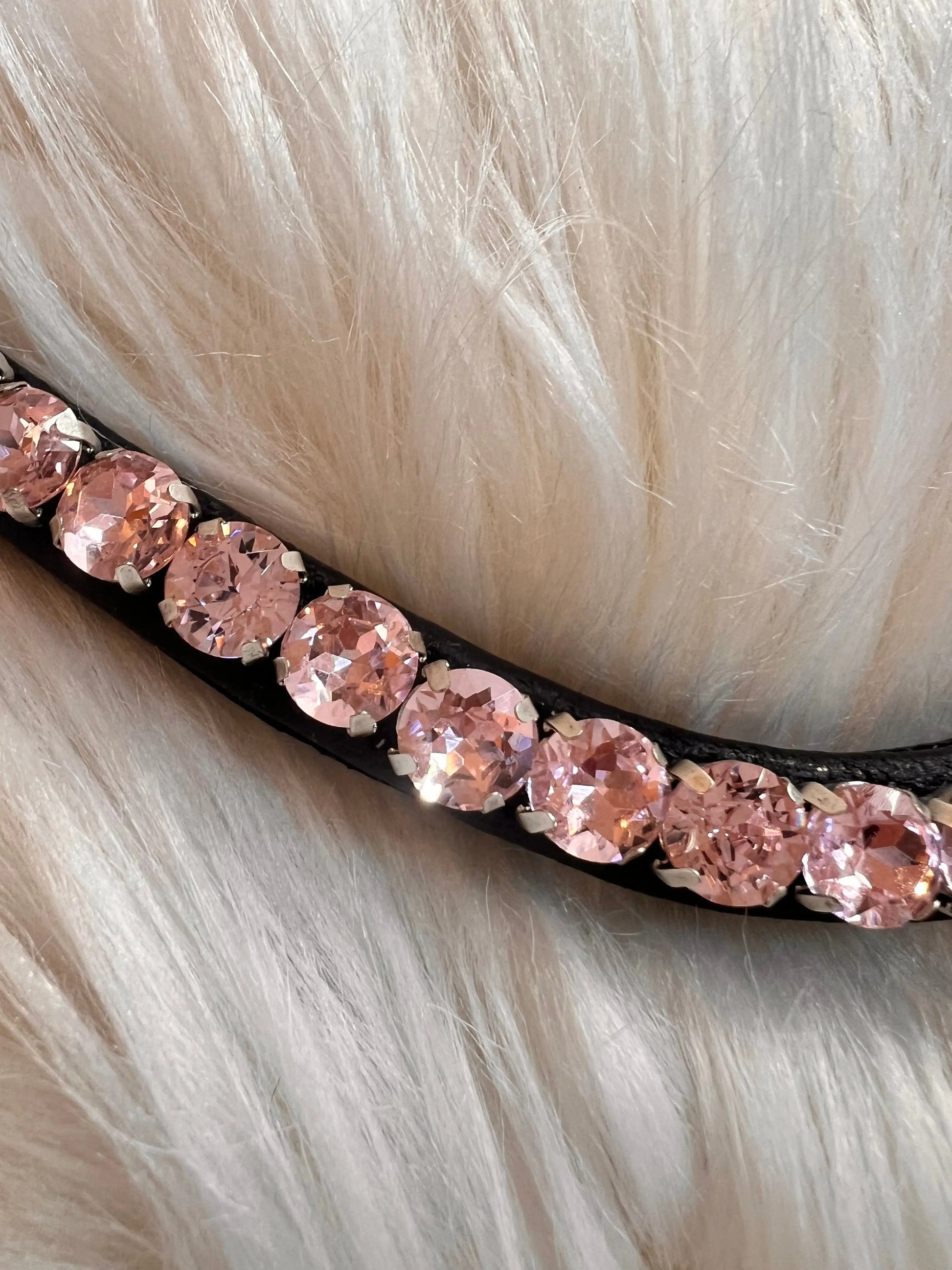 Stirnriemen Slim Rosa CR-Harmonyequestrian