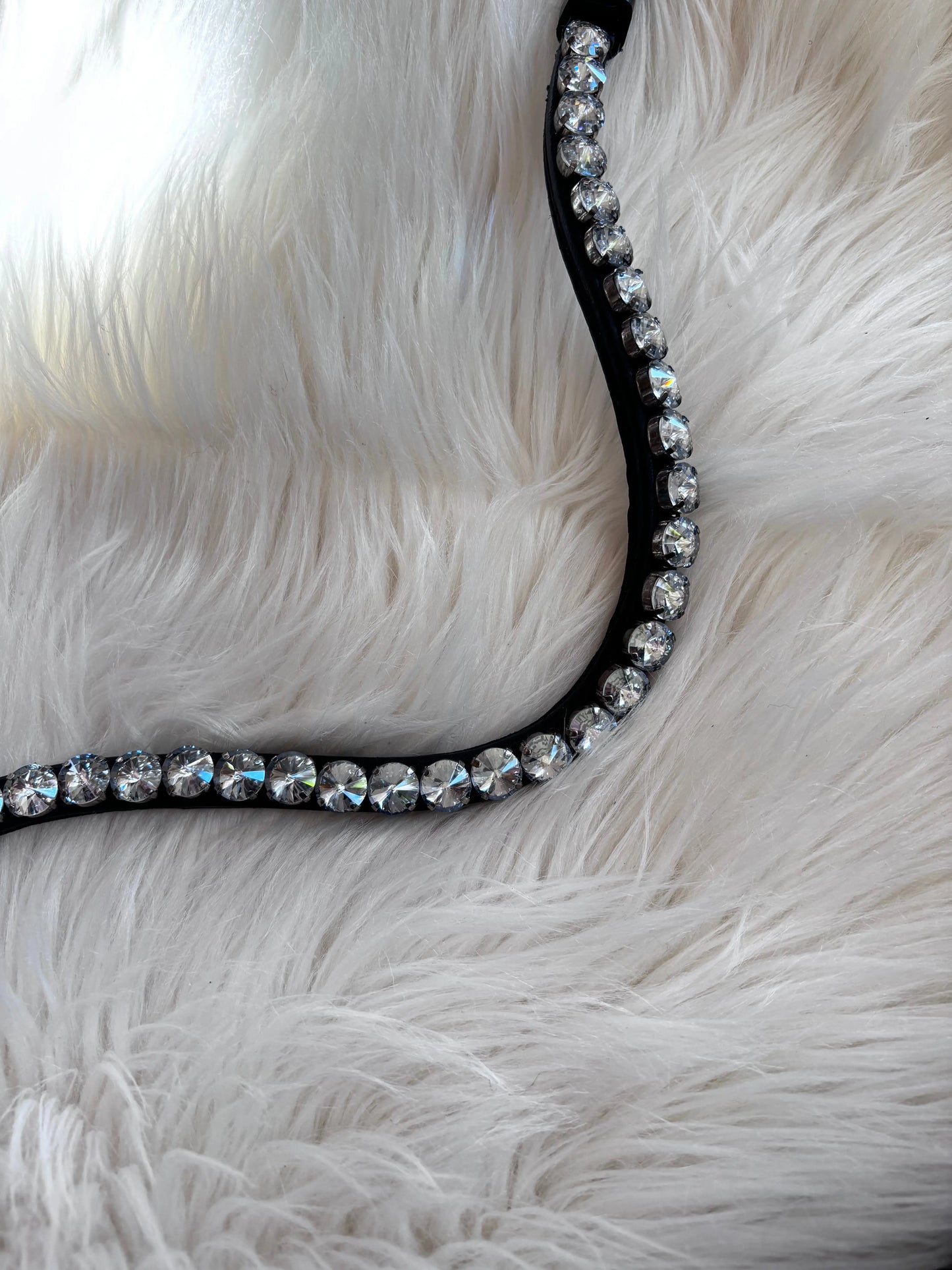 Stirnriemen Big Universe - CR-Harmonyequestrian