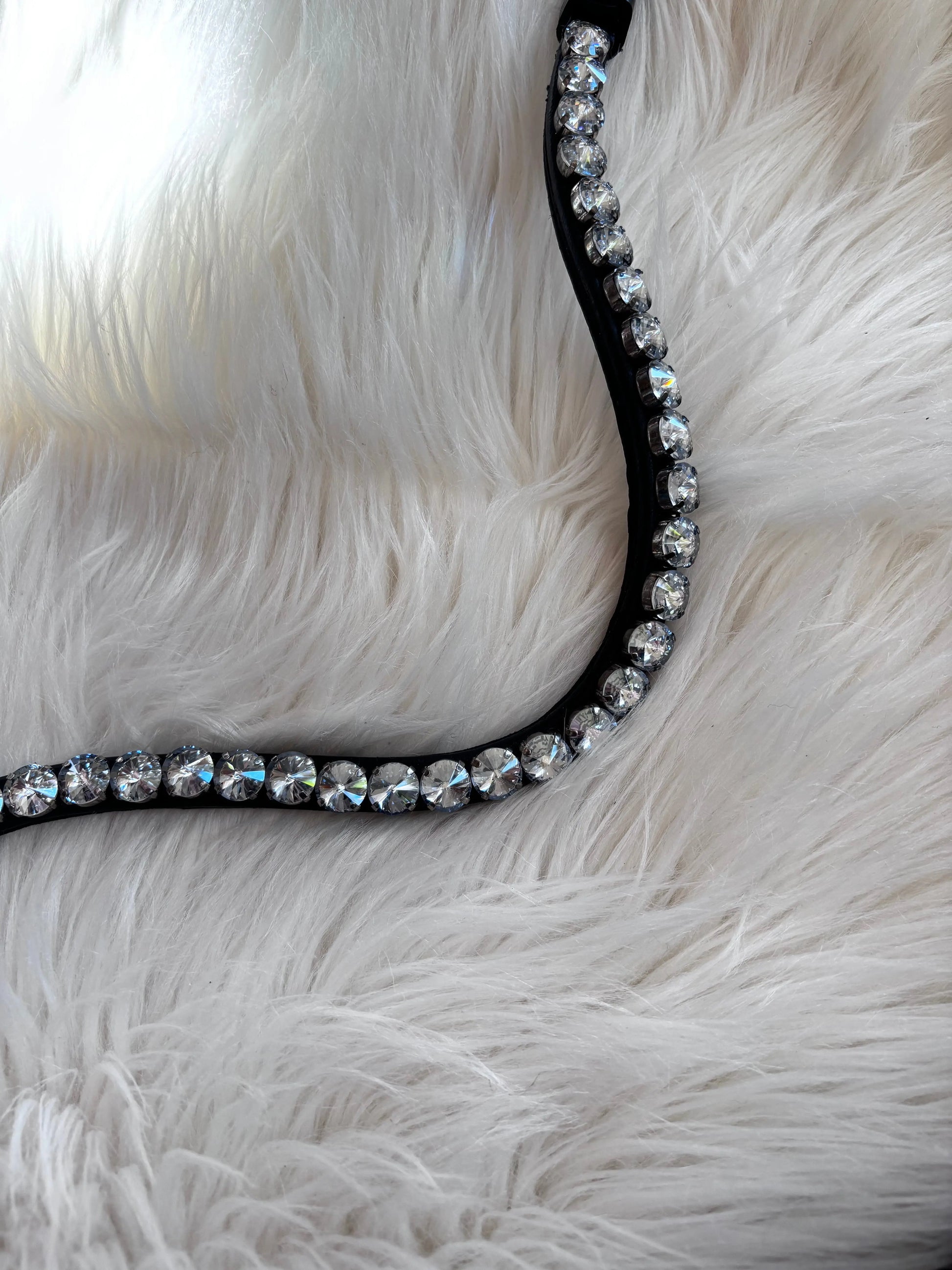 Stirnriemen Big Universe - CR-Harmonyequestrian