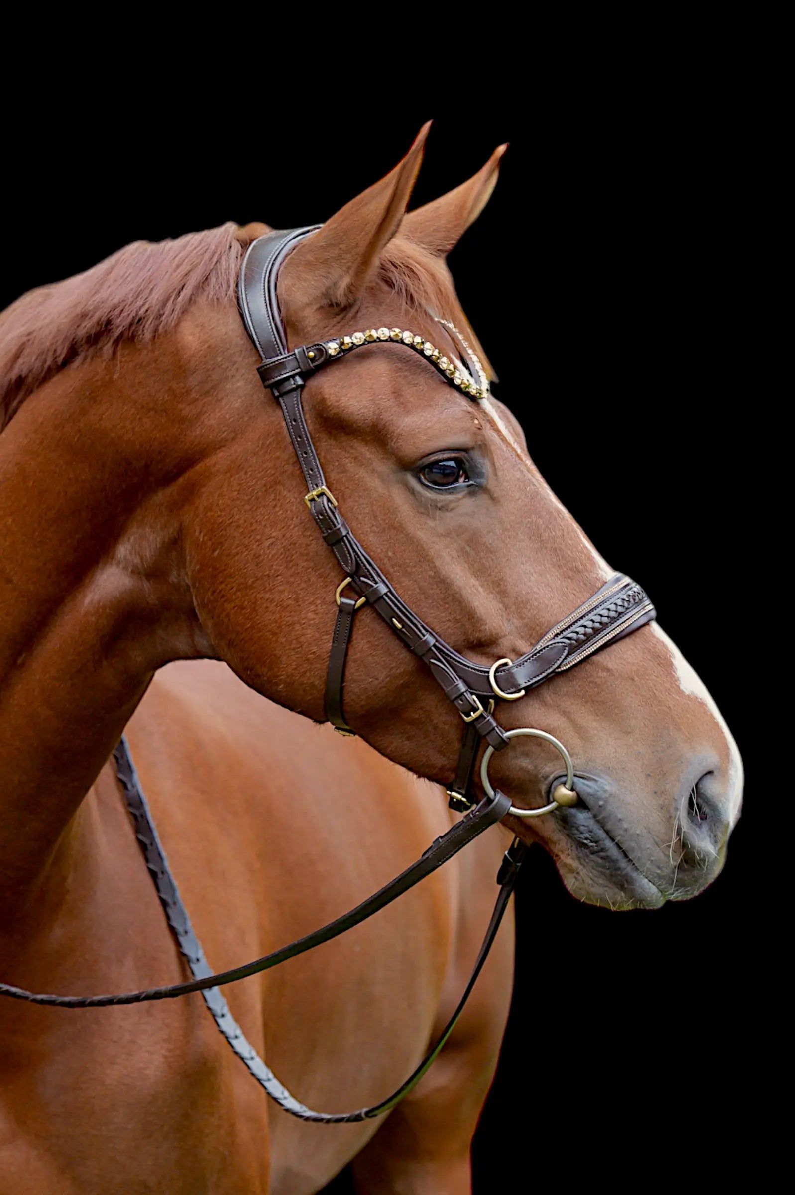 Midnight Supreme - CR-Harmonyequestrian Geflochtene Trense 240.00 Wb-Braun-Gold