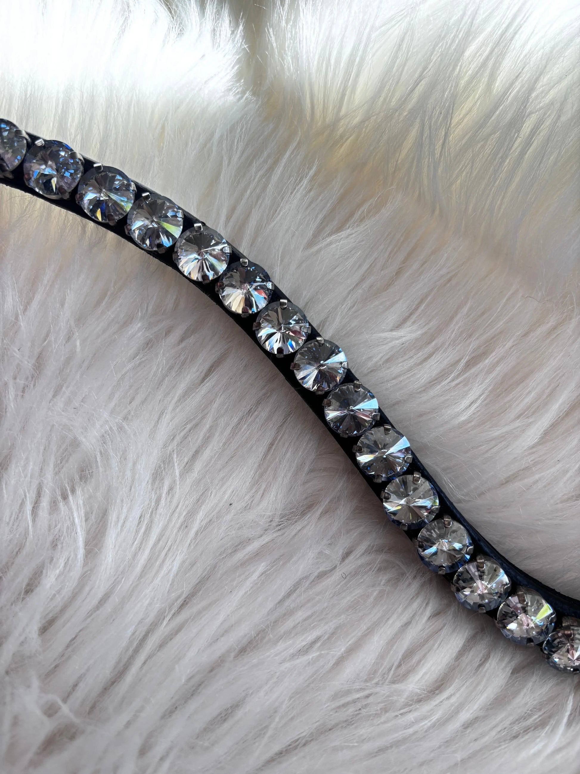 Stirnriemen Big Universe - CR-Harmonyequestrian