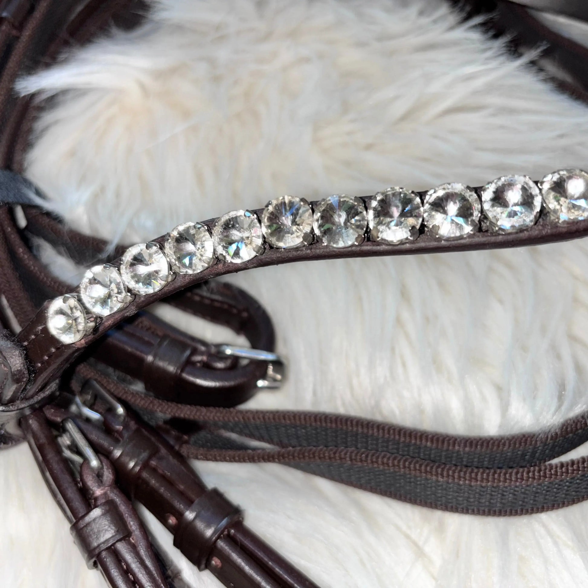 Browny Trense Limited Edition CR-Harmonyequestrian