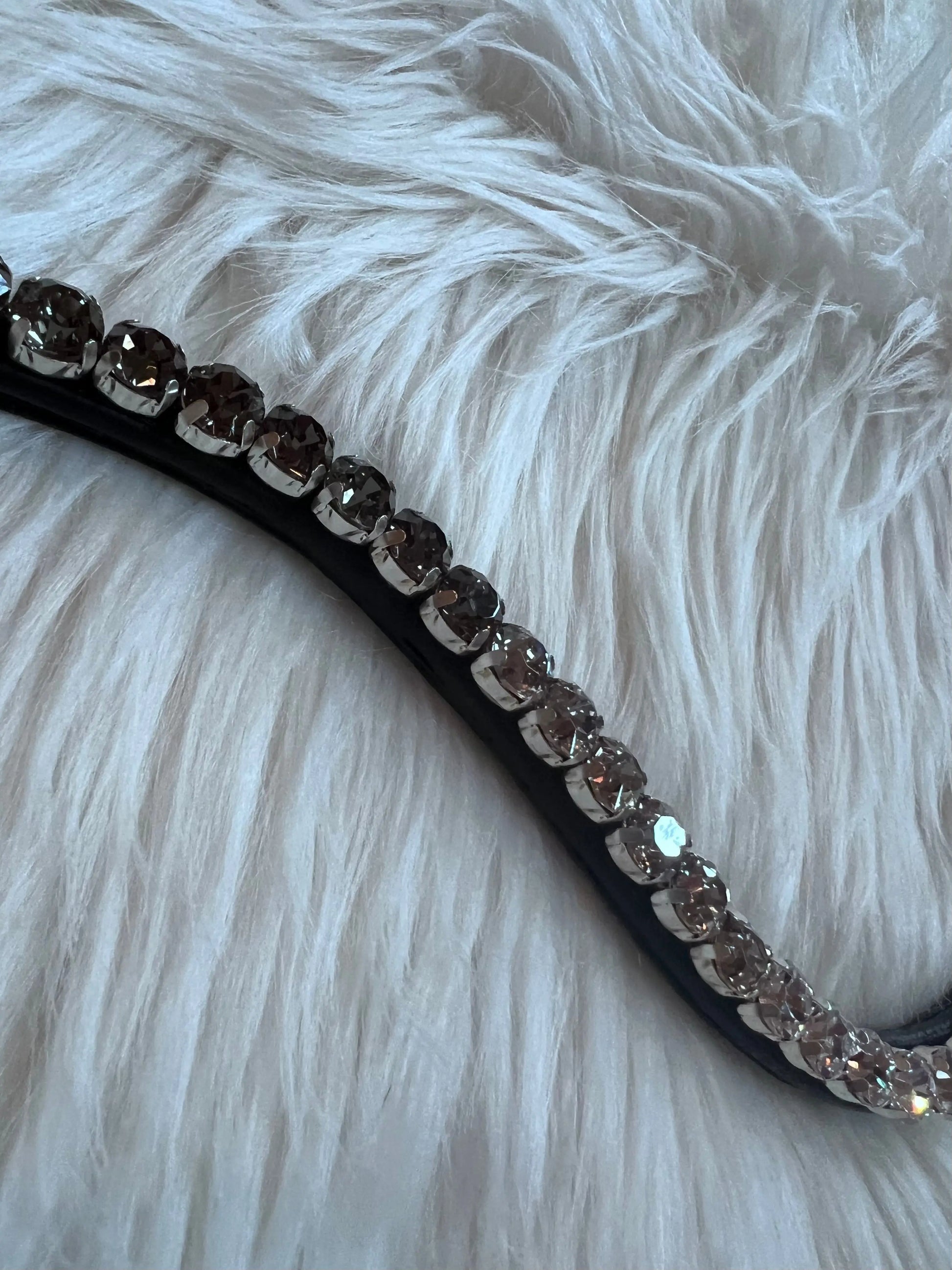 Stirnriemen Dark Light CR-Harmonyequestrian