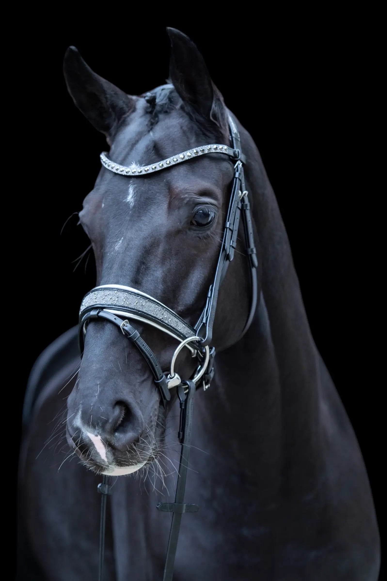 Trense Diamond Dust Vollblut CR-Harmonyequestrian