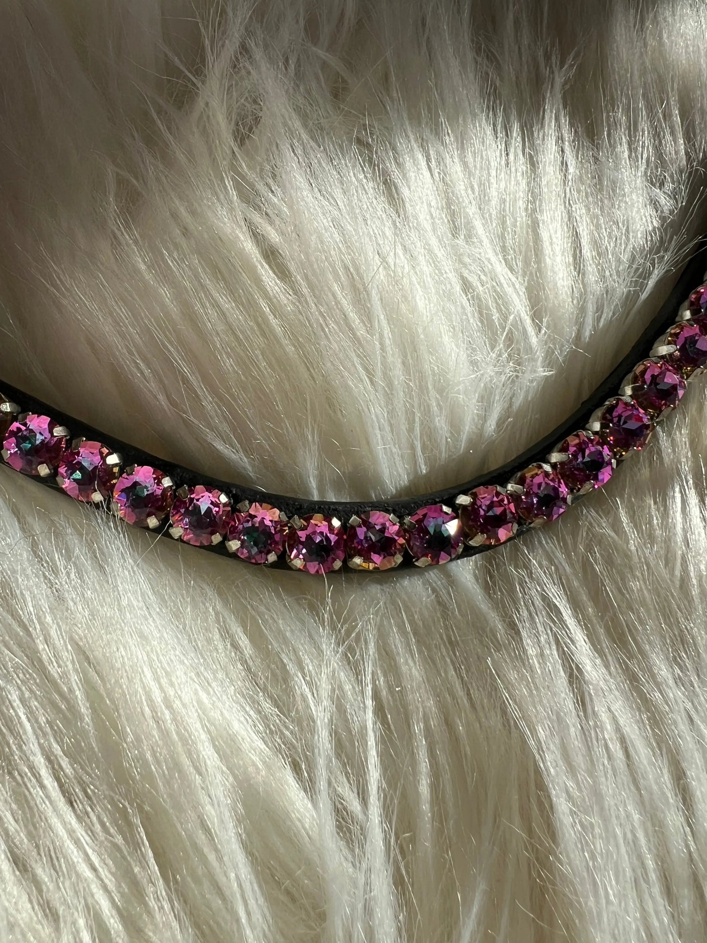 Stirnriemen Slim Birdie CR-Harmonyequestrian