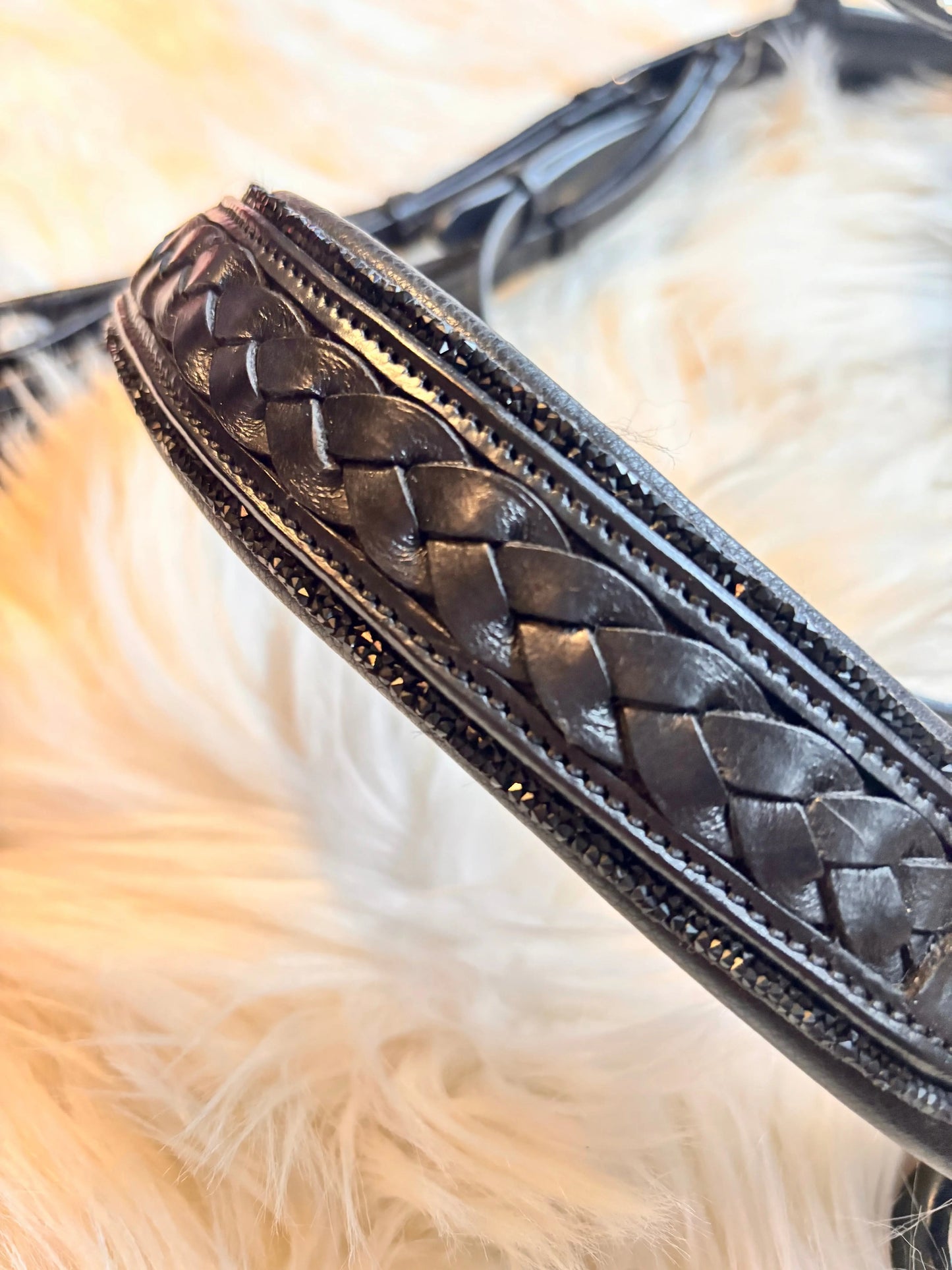 Kandare Midnight CR-Harmonyequestrian