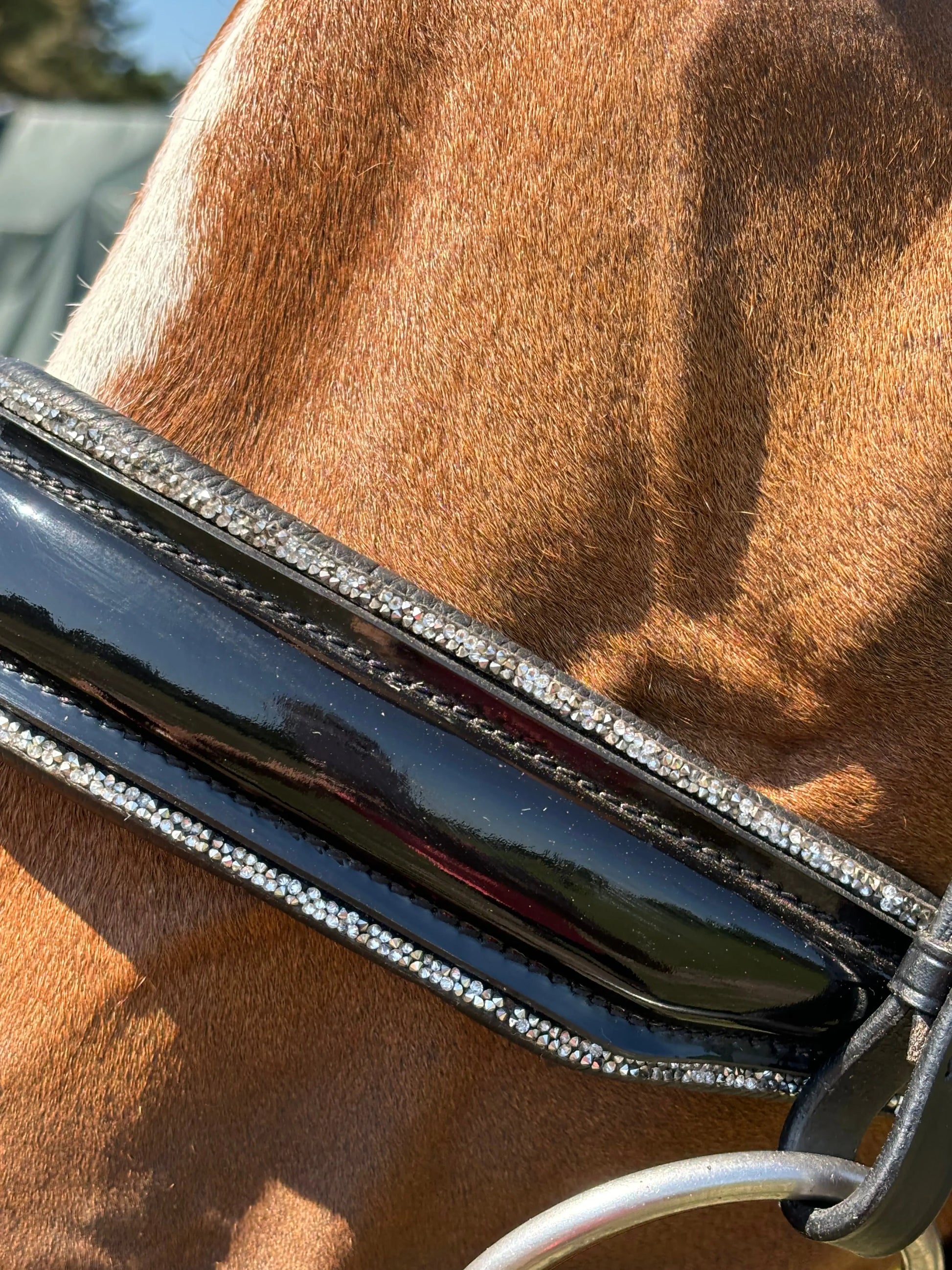 Glamourös Lack Trense schwarz mit Silber Crystal Rocks CR-Harmonyequestrian