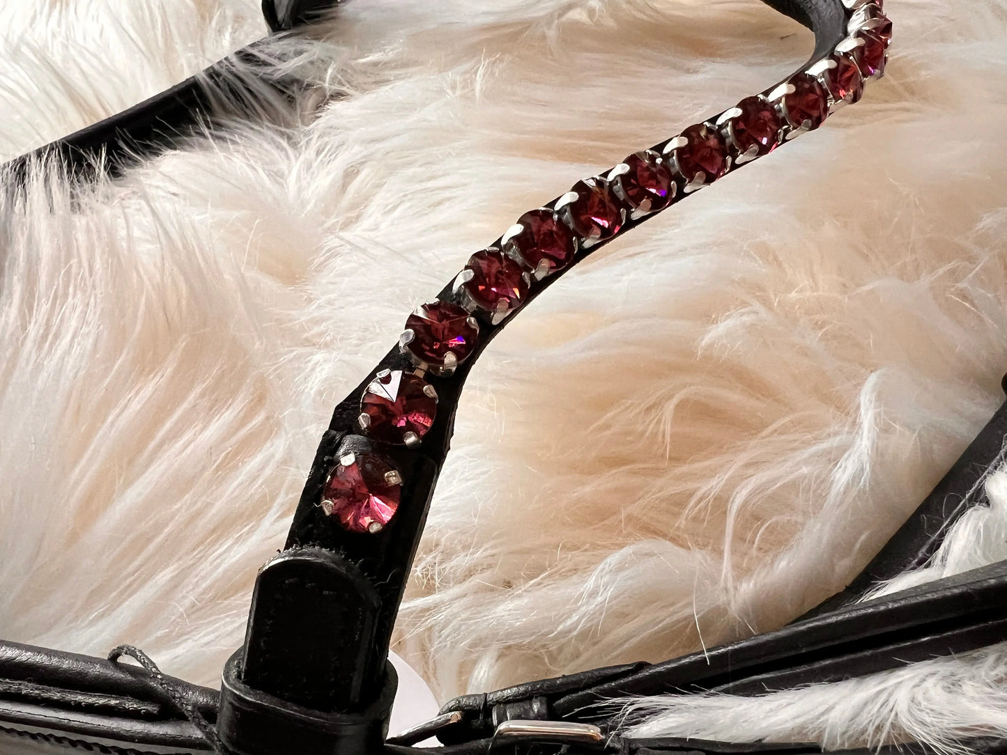 Lacktrense mit purple Crystals CR-Harmonyequestrian