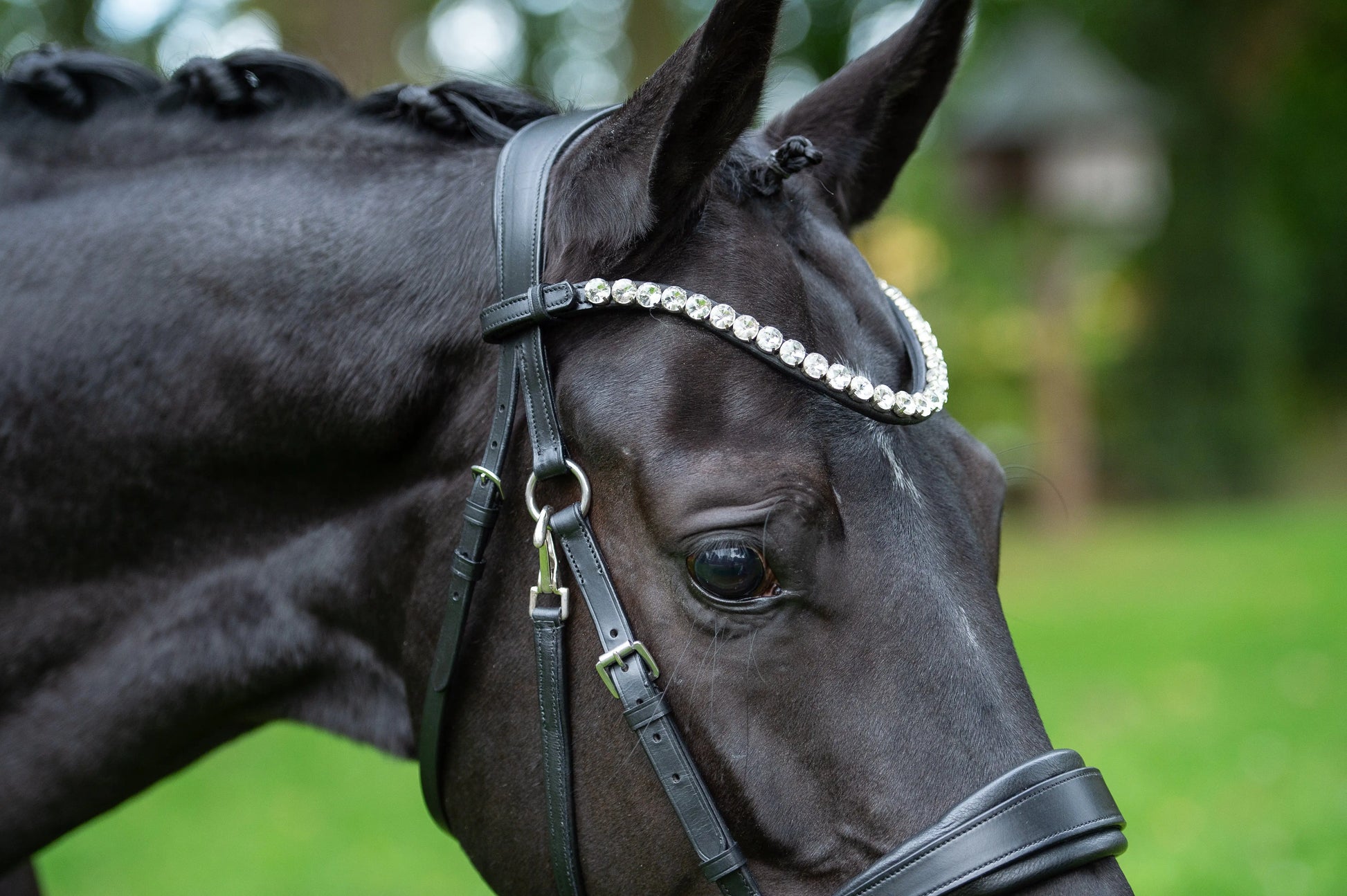 CR Harmonybridle - gebisslose 3 in 1 Zäumung CR-Harmonyequestrian
