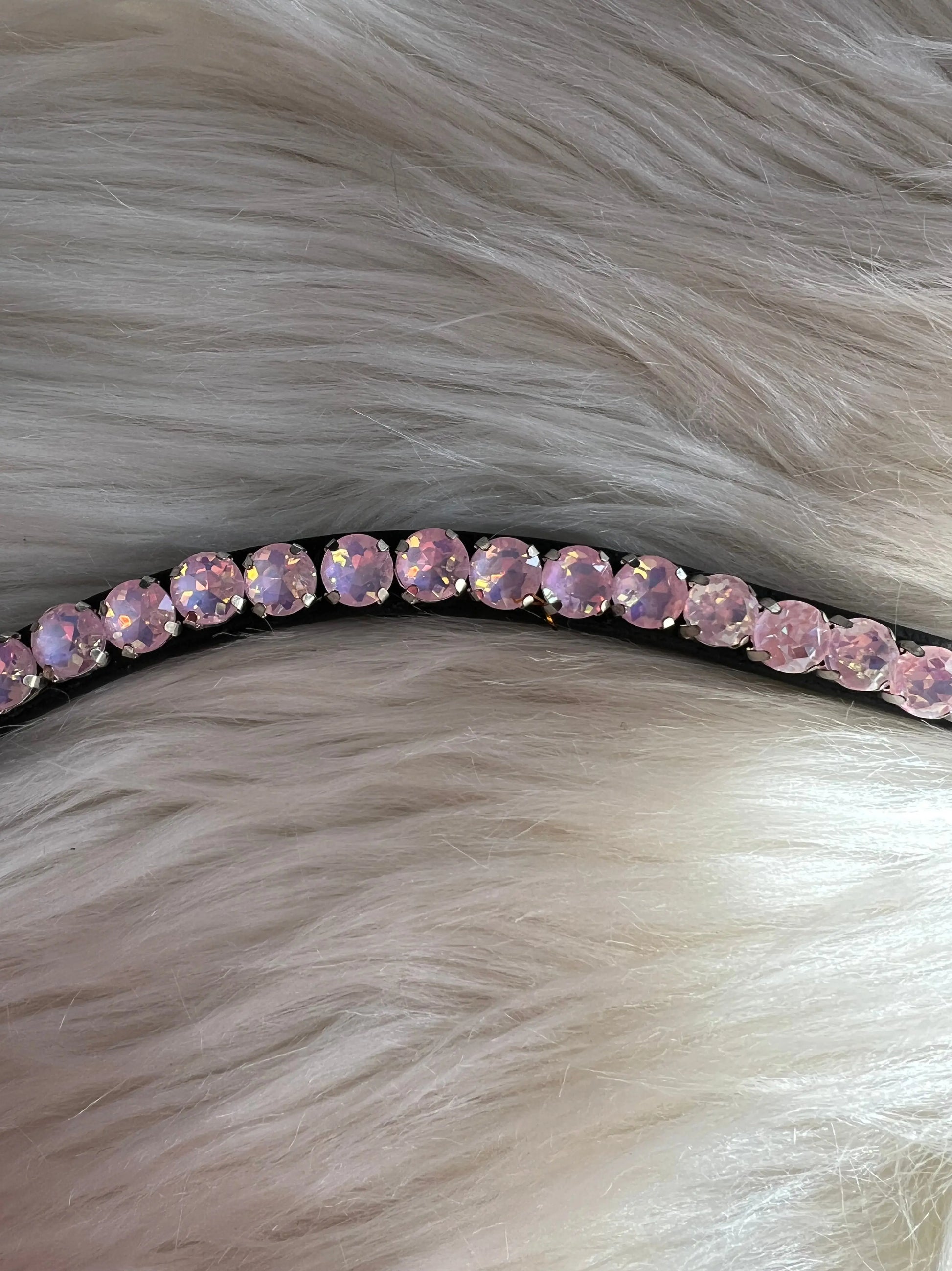 Stirnriemen Slim Day Glow 1 CR-Harmonyequestrian