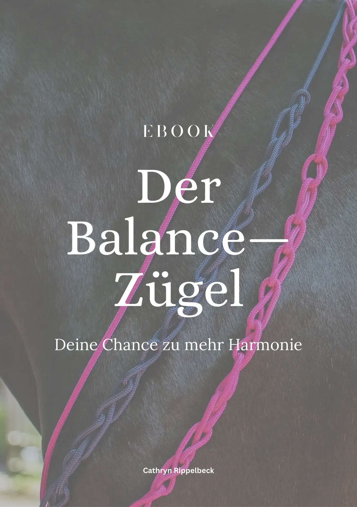 Rênes d'équilibre avec E-book inclus - CR-Harmonyequestrian