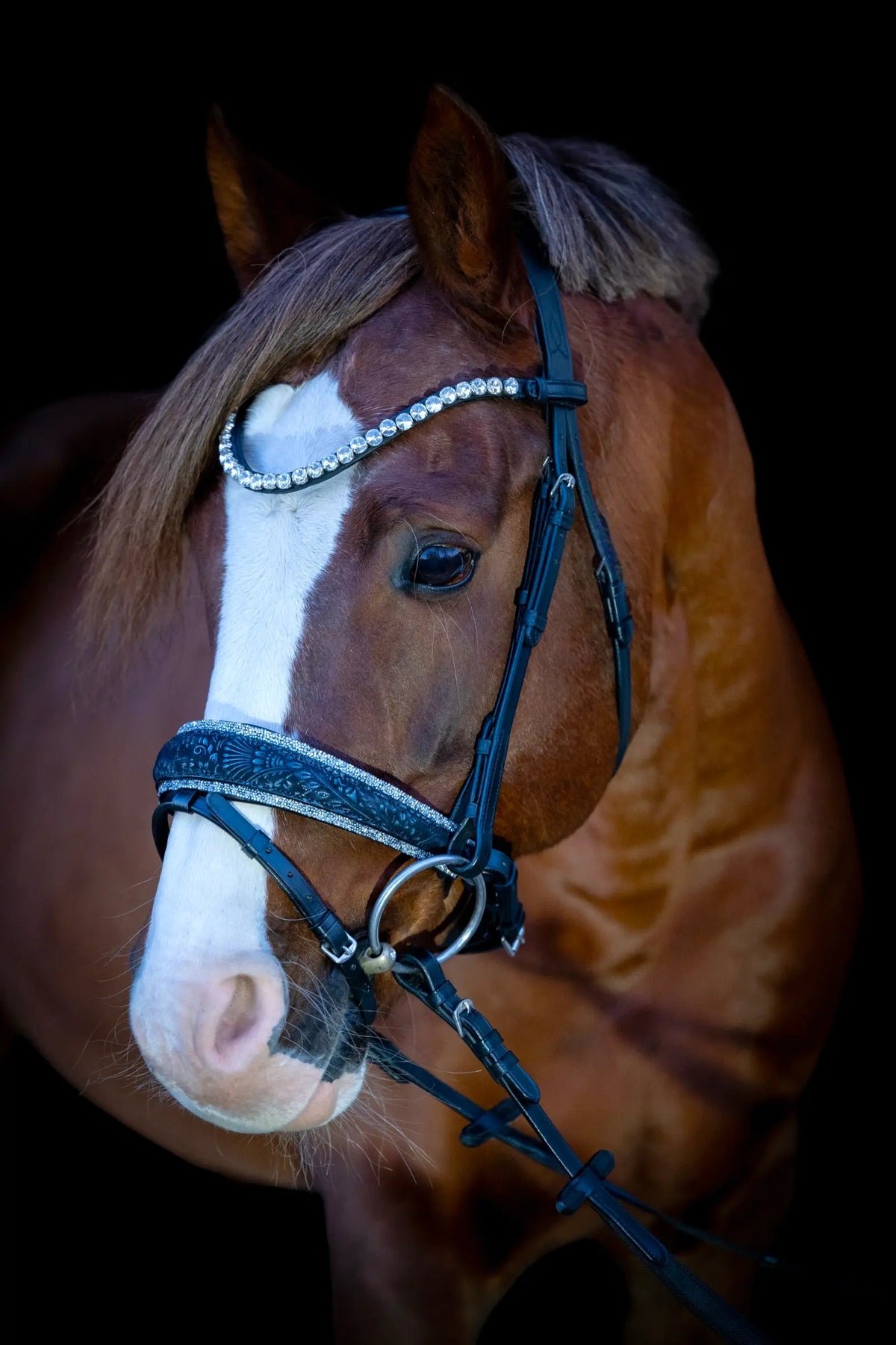 Ridehalfter Blu Fiore CR-Harmonyequestrian