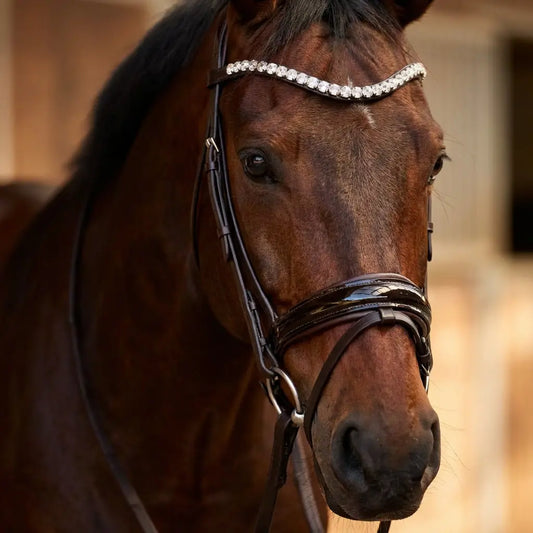 Browny Trense Limitierte Edition CR-Harmonyequestrian