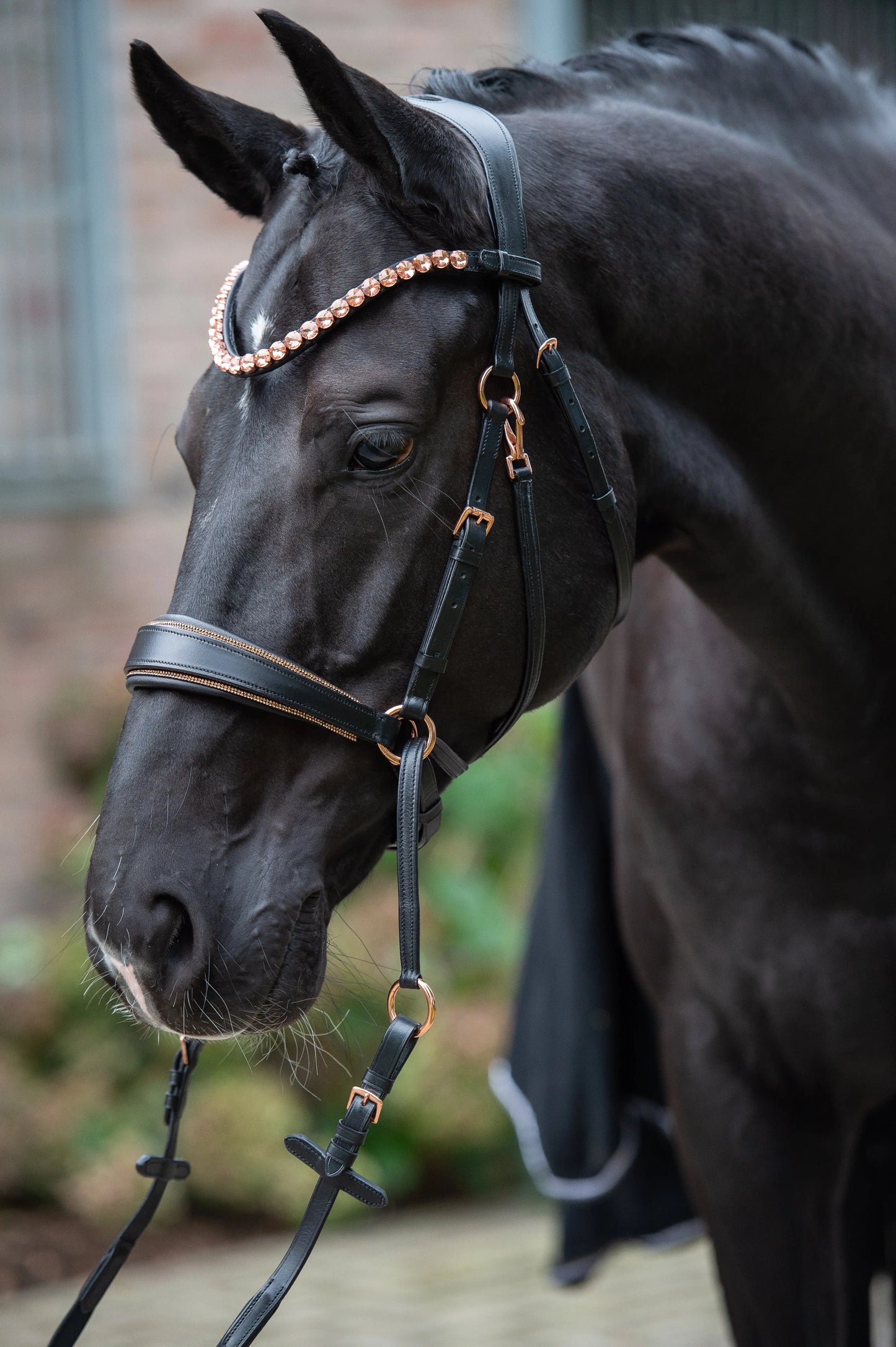 Harmony Bridle Roségold Editon CR-Harmonyequestrian
