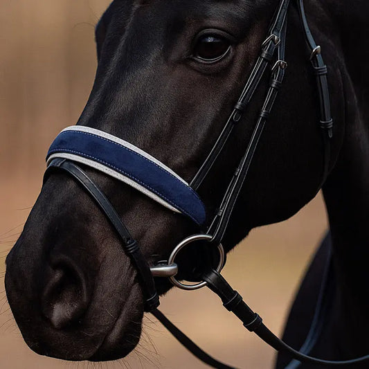 Blue Velvet Reithalfter CR-Harmonyequestrian
