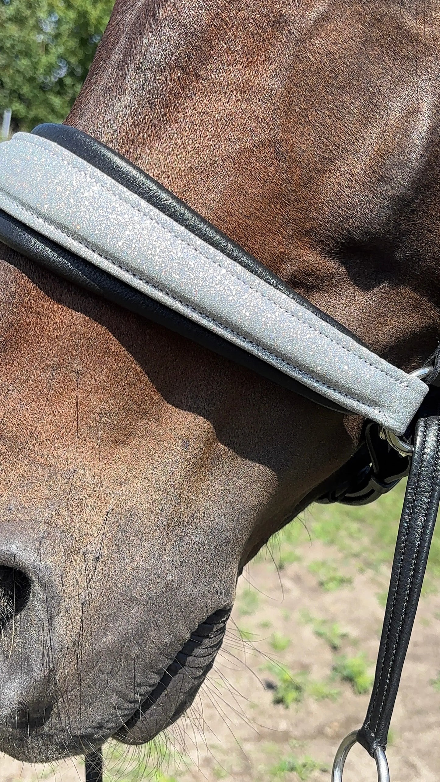 Limited Edition Bitless Bridle Silver Glow - CR-Harmonyequestrian