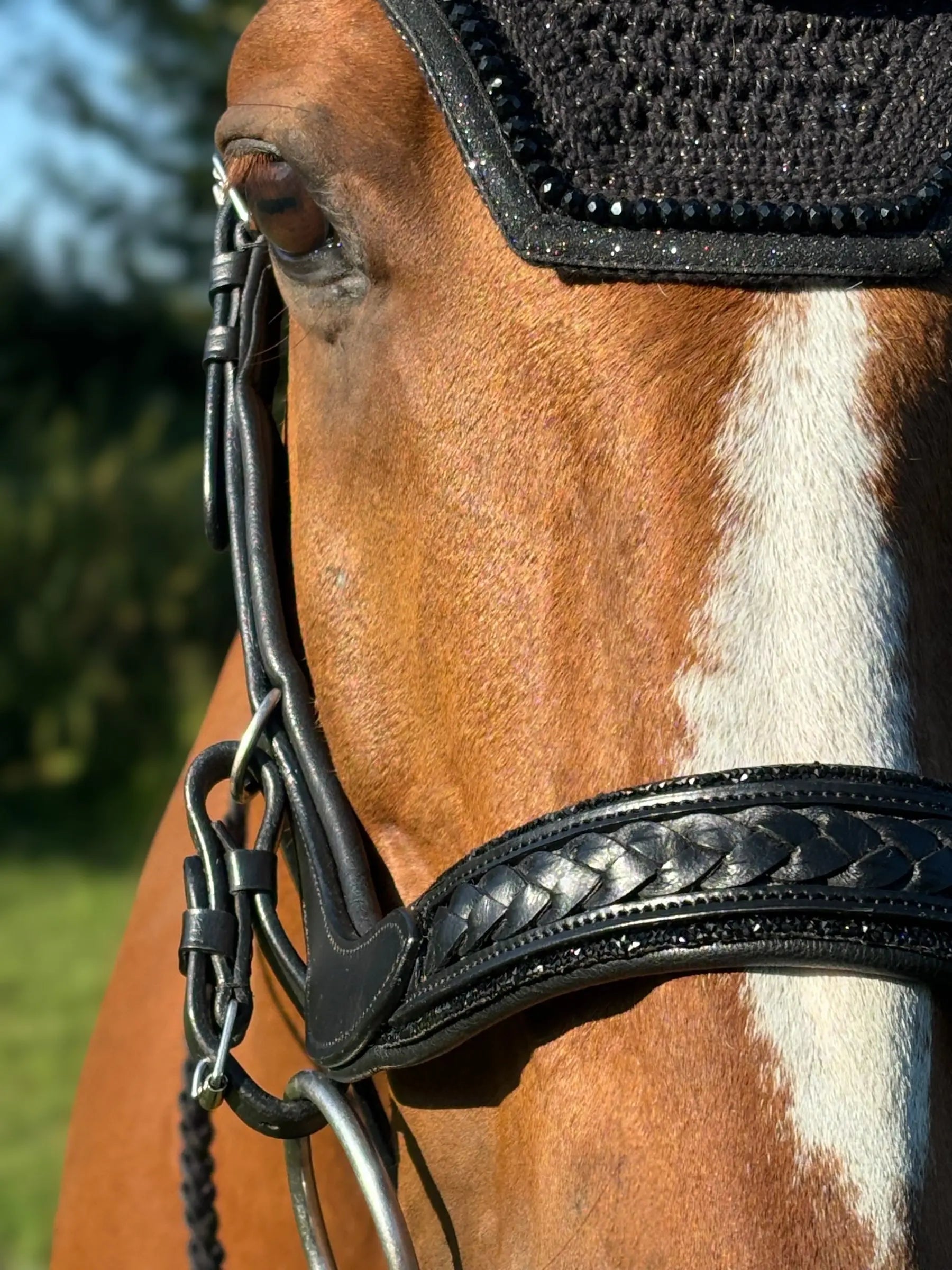 Trense Midnight CR-Harmonyequestrian