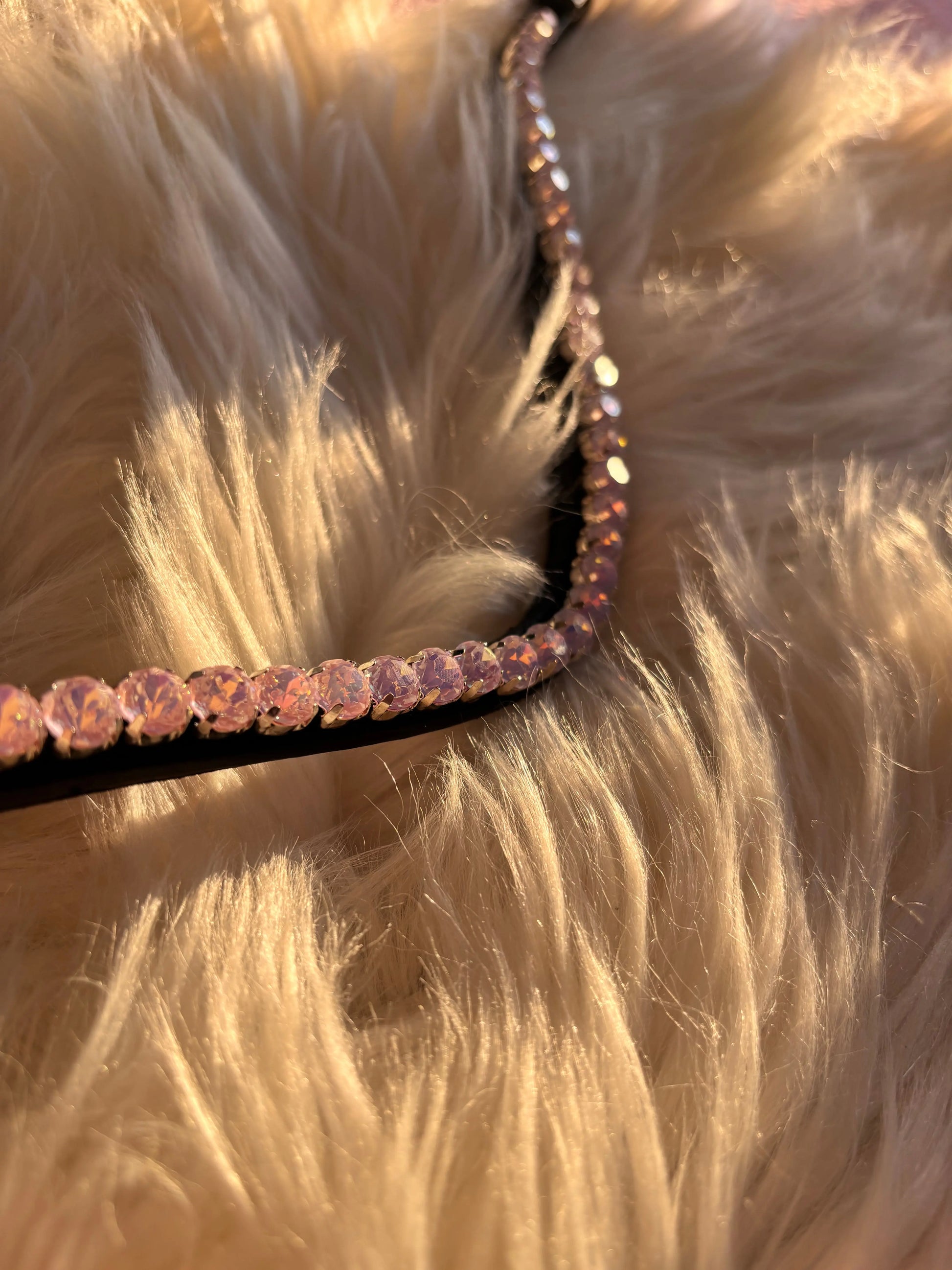 Stirnriemen Slim Day Glow CR-Harmonyequestrian