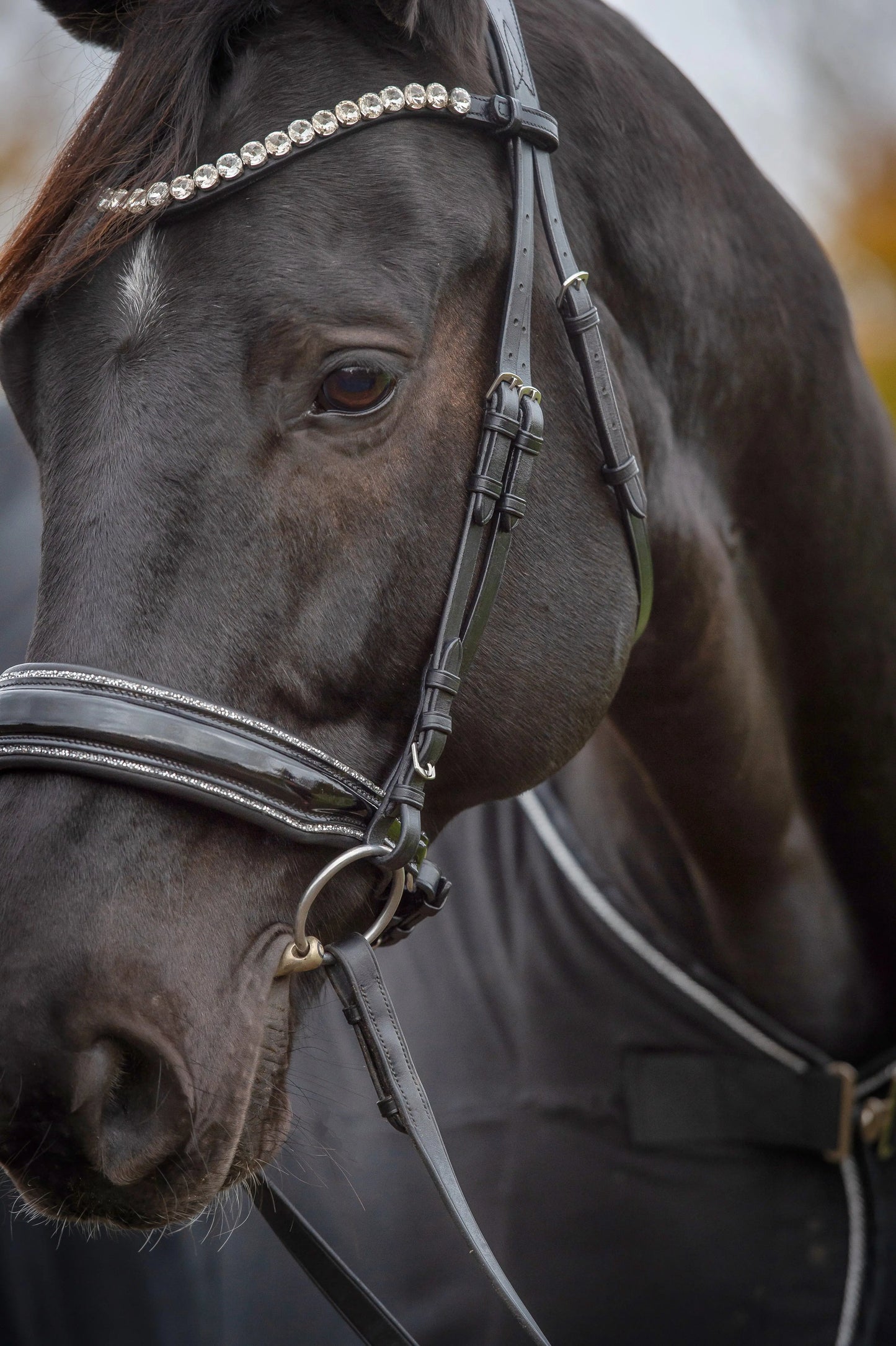 Glamourös Lack Trense schwarz mit Silber Crystal Rocks CR-Harmonyequestrian