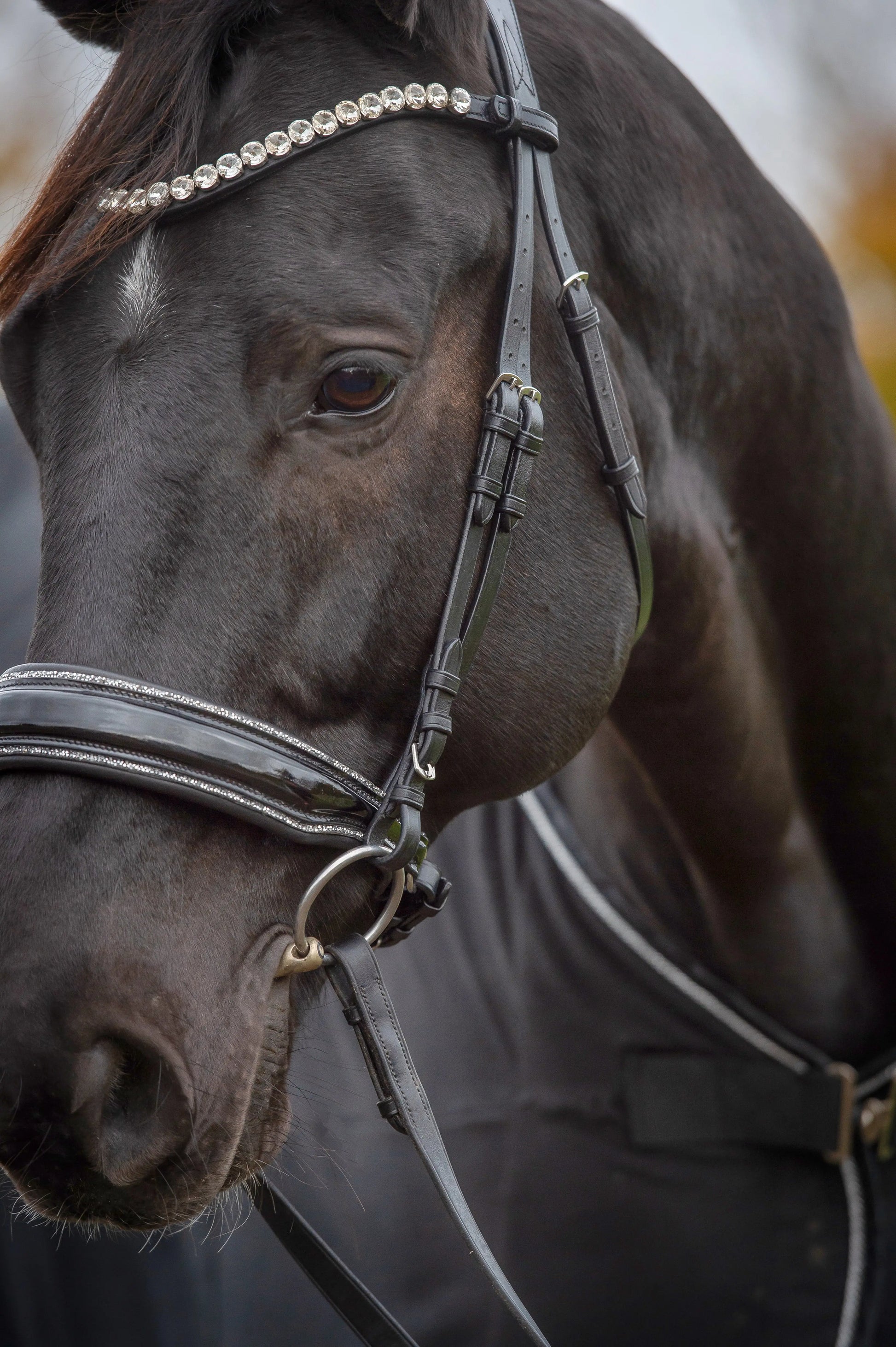 Glamourös Lack Trense schwarz mit Silber Crystal Rocks CR-Harmonyequestrian