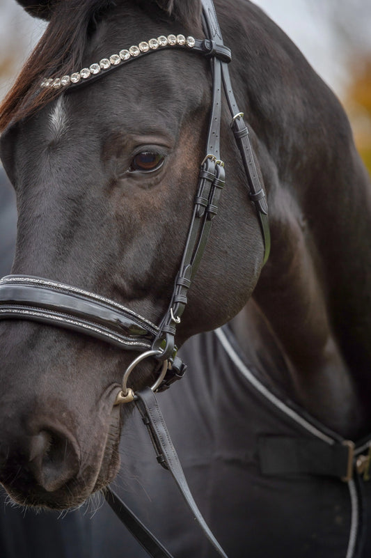 Glamourös Lack Trense schwarz mit Silber Crystal Rocks CR-Harmonyequestrian