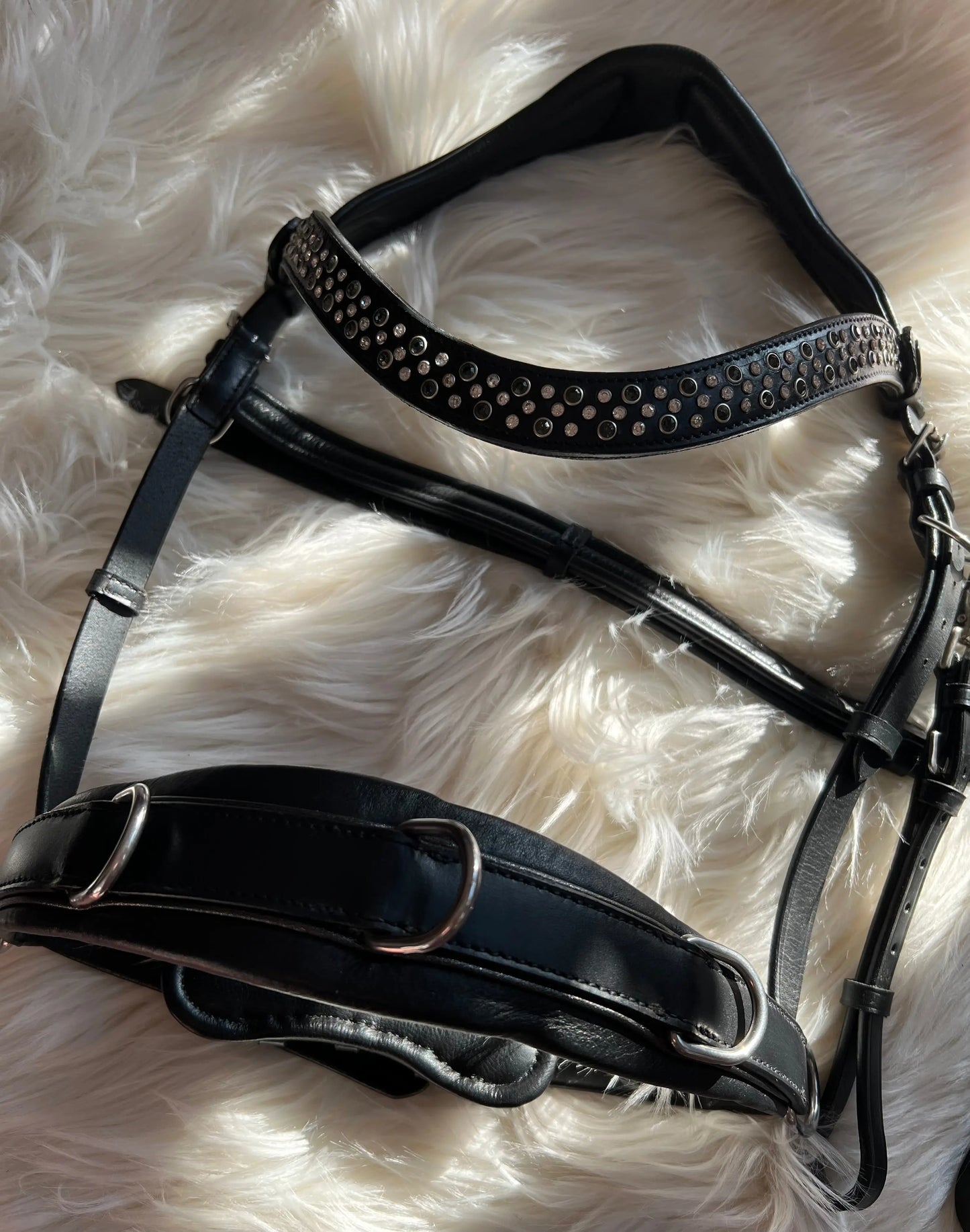 Multizaum Vollblut - CR-Harmonyequestrian