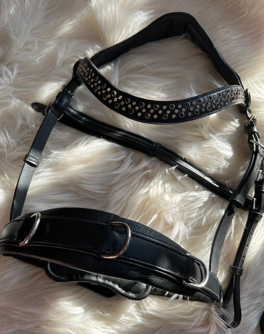 Multizaum Vollblut - CR-Harmonyequestrian