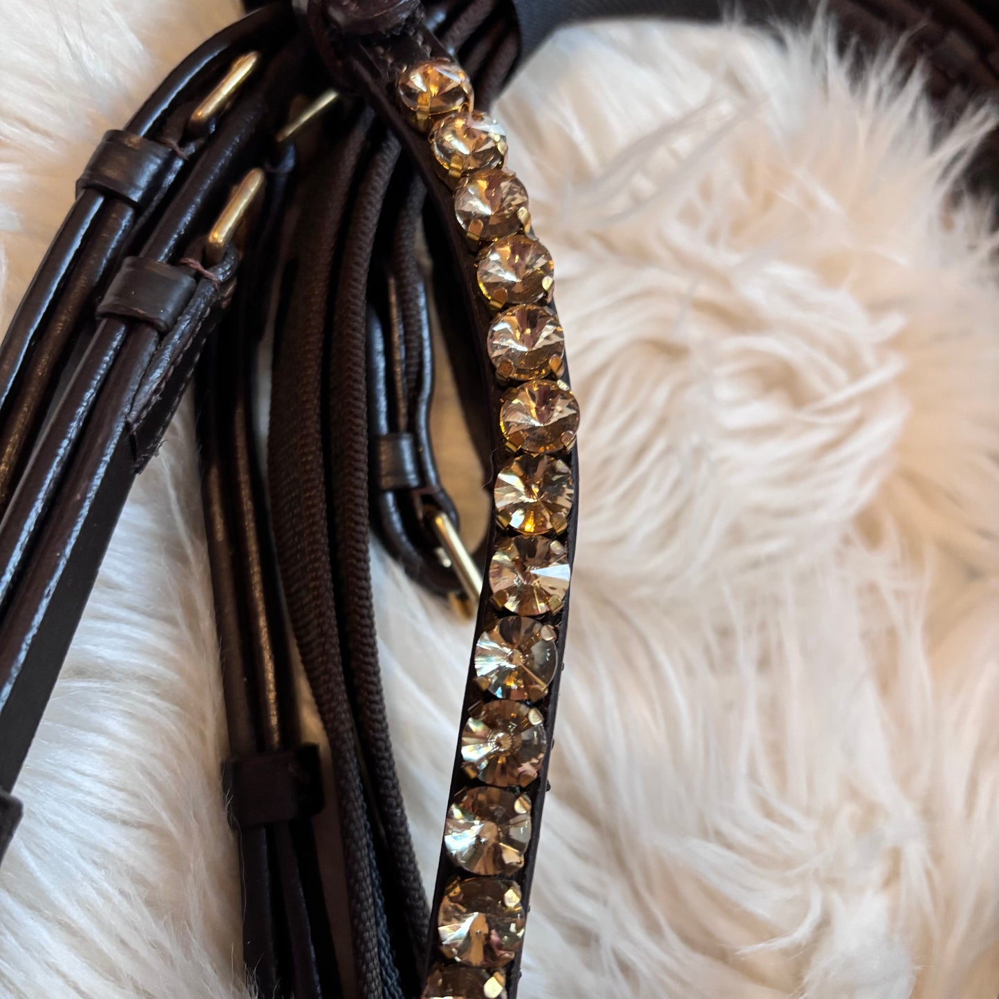 Brown Champagne Edition – Trense mit warmen Gold-Highlights