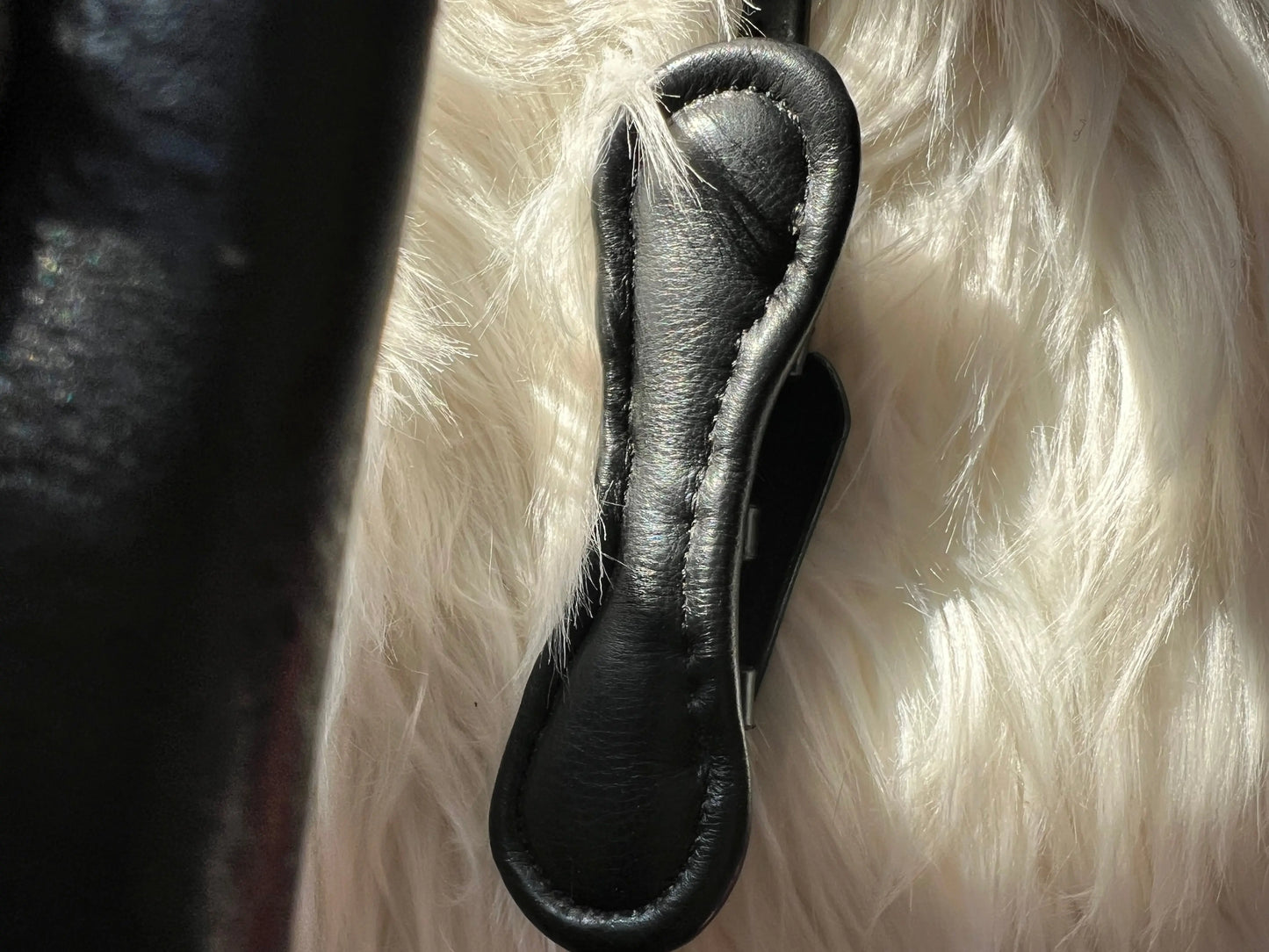 Multizaum Vollblut - CR-Harmonyequestrian