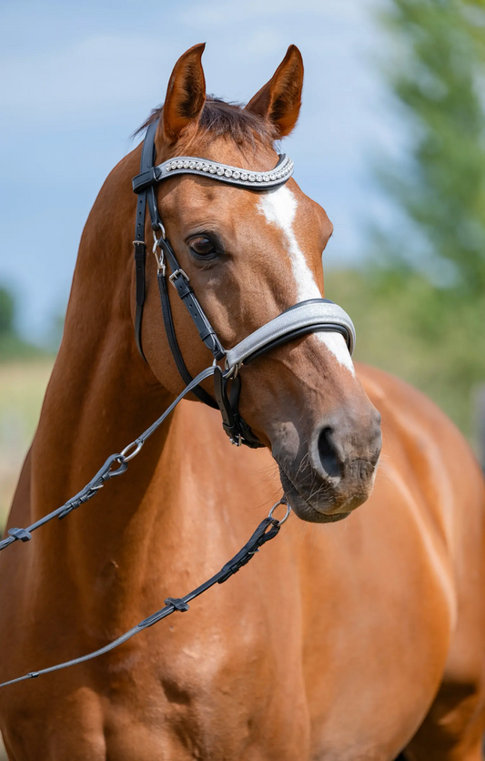 Limited Edition Bitless Bridle Silver Glow CR-Harmonyequestrian