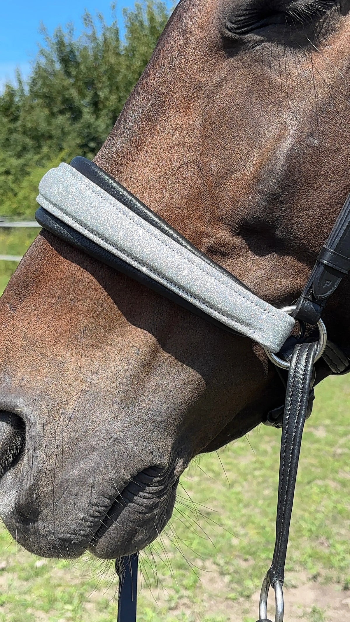 Édition Limitée Bridon sans mors Lueur Argentée - CR-Harmonyequestrian
