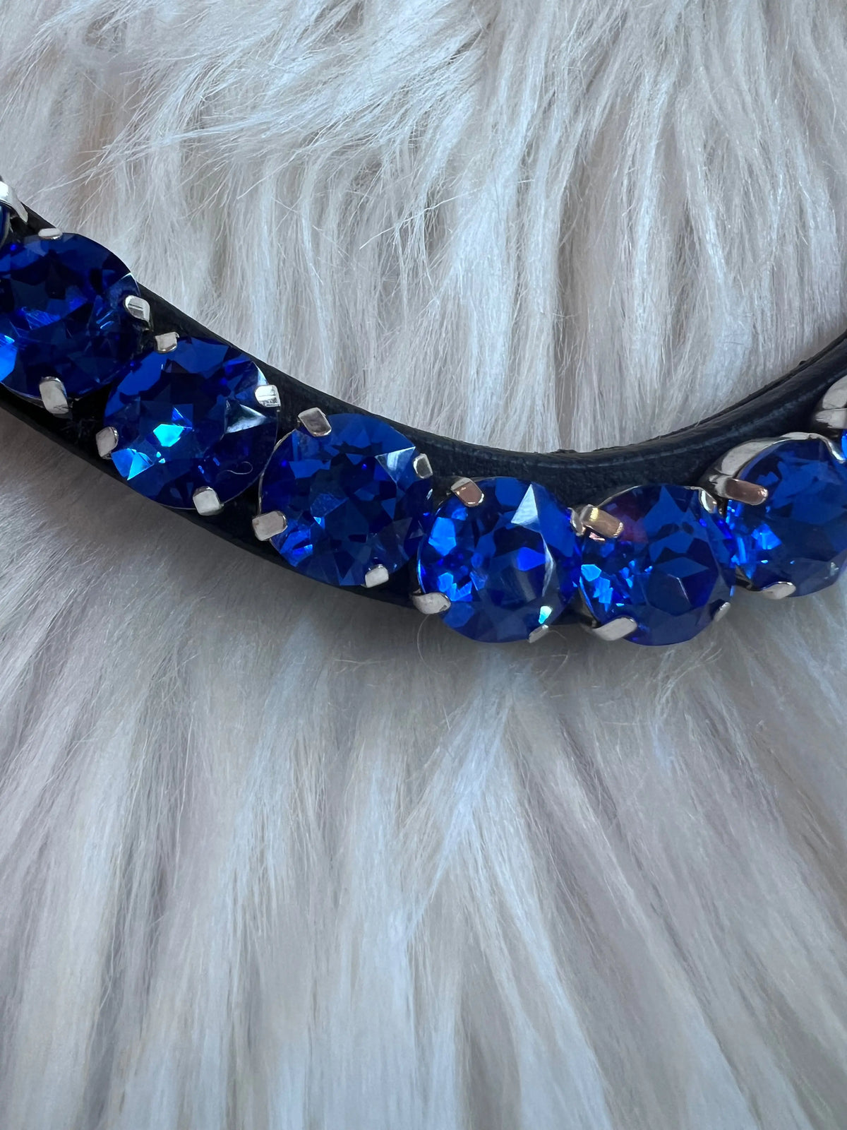 Stirnbånd Big Sapphire CR-Harmonyequestrian